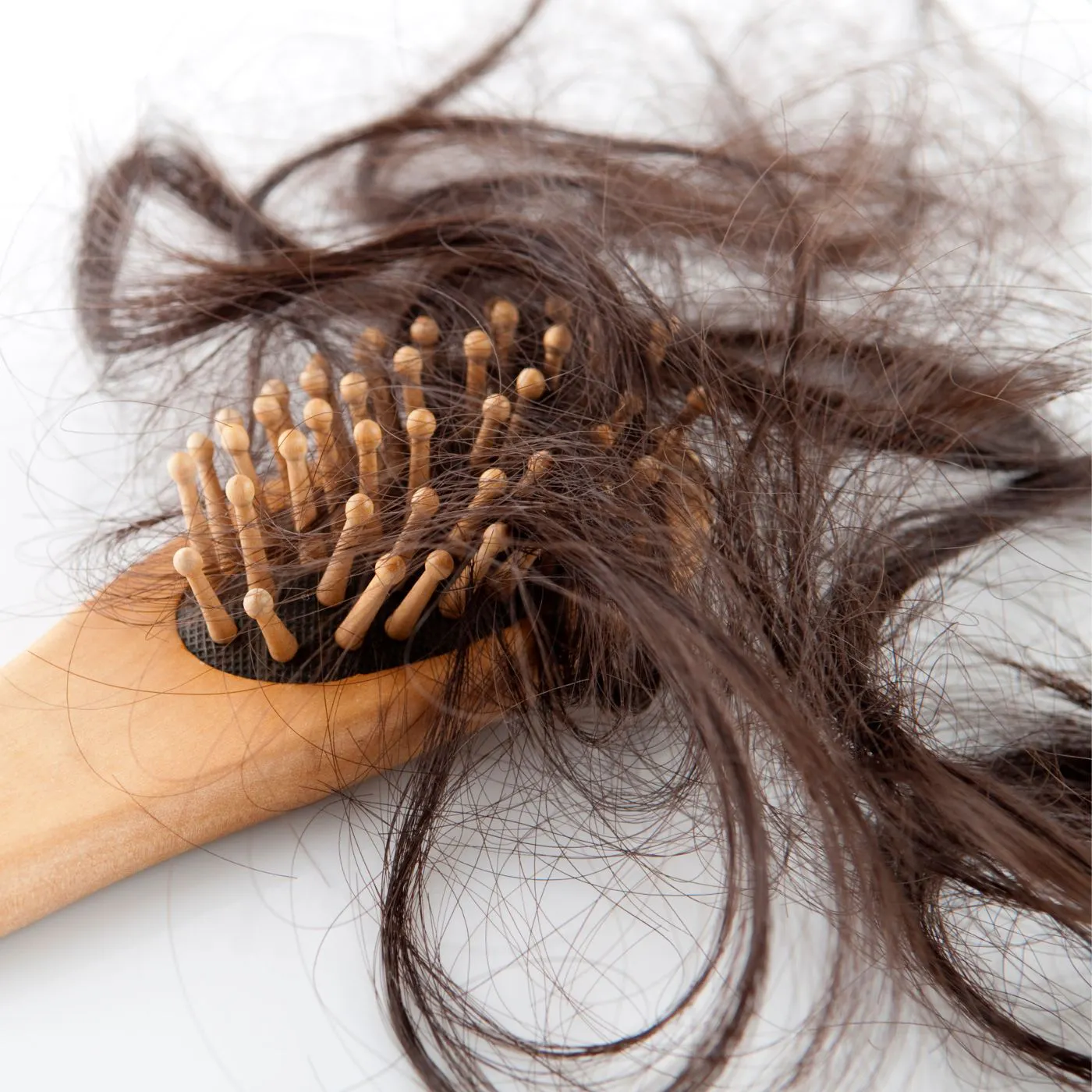 Quand faut-il s’inquiéter de la chute de nos cheveux ?