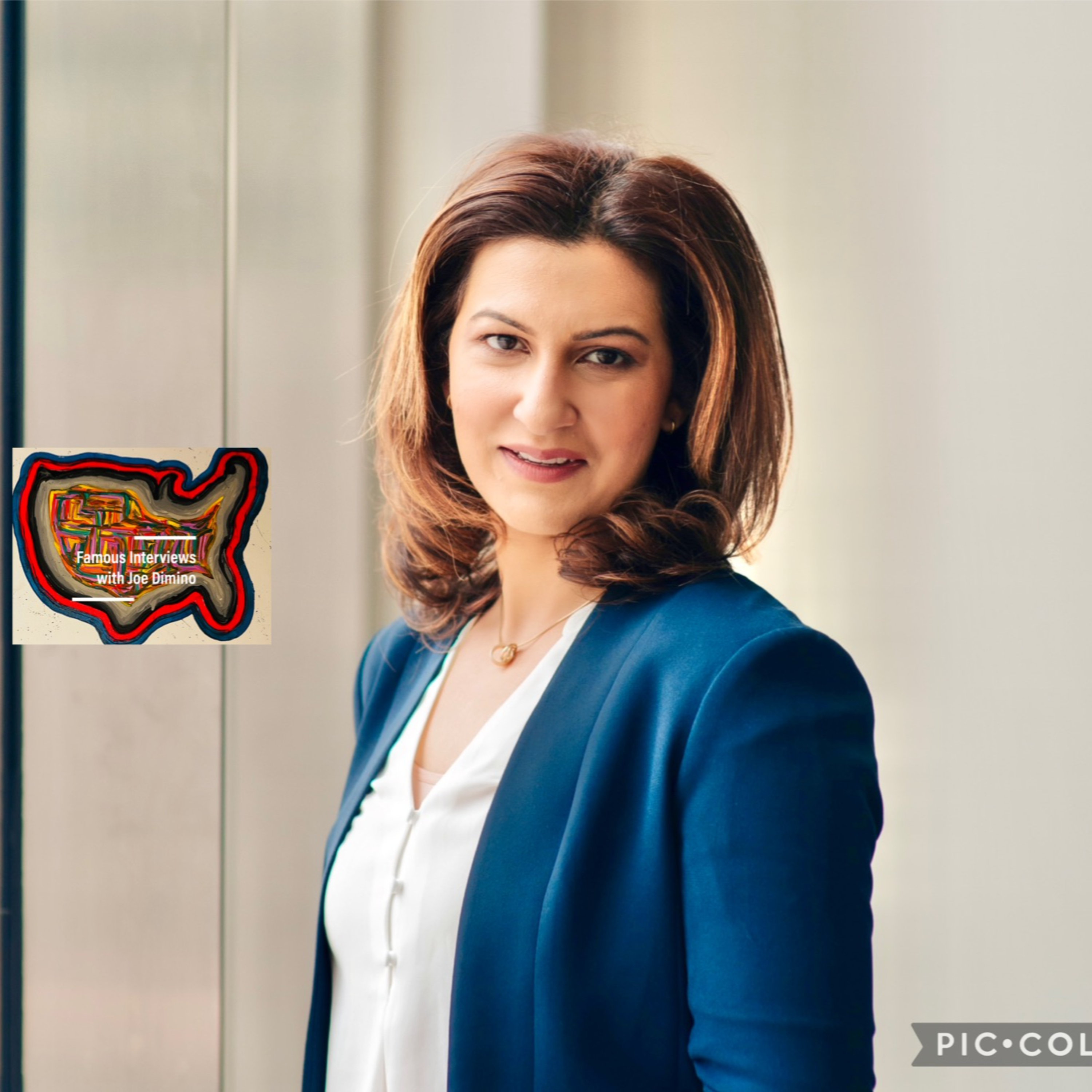 Inspiring Author, Entrepreneur & Wellness Executive Aesha Tahir episode artwork