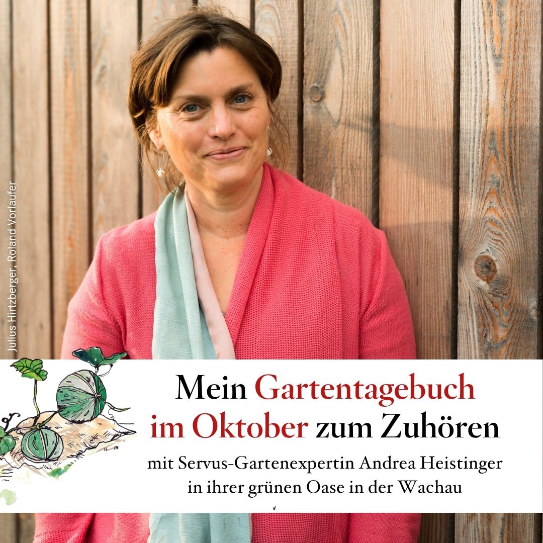 Mein Gartentagebuch im Oktober – mit Andrea Heistinger