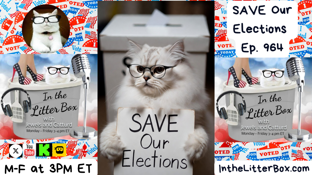 SAVE Our Elections | In the Litter Box w/ Jewels Jones & Catturd – Ep. 964 – 2/4/2026