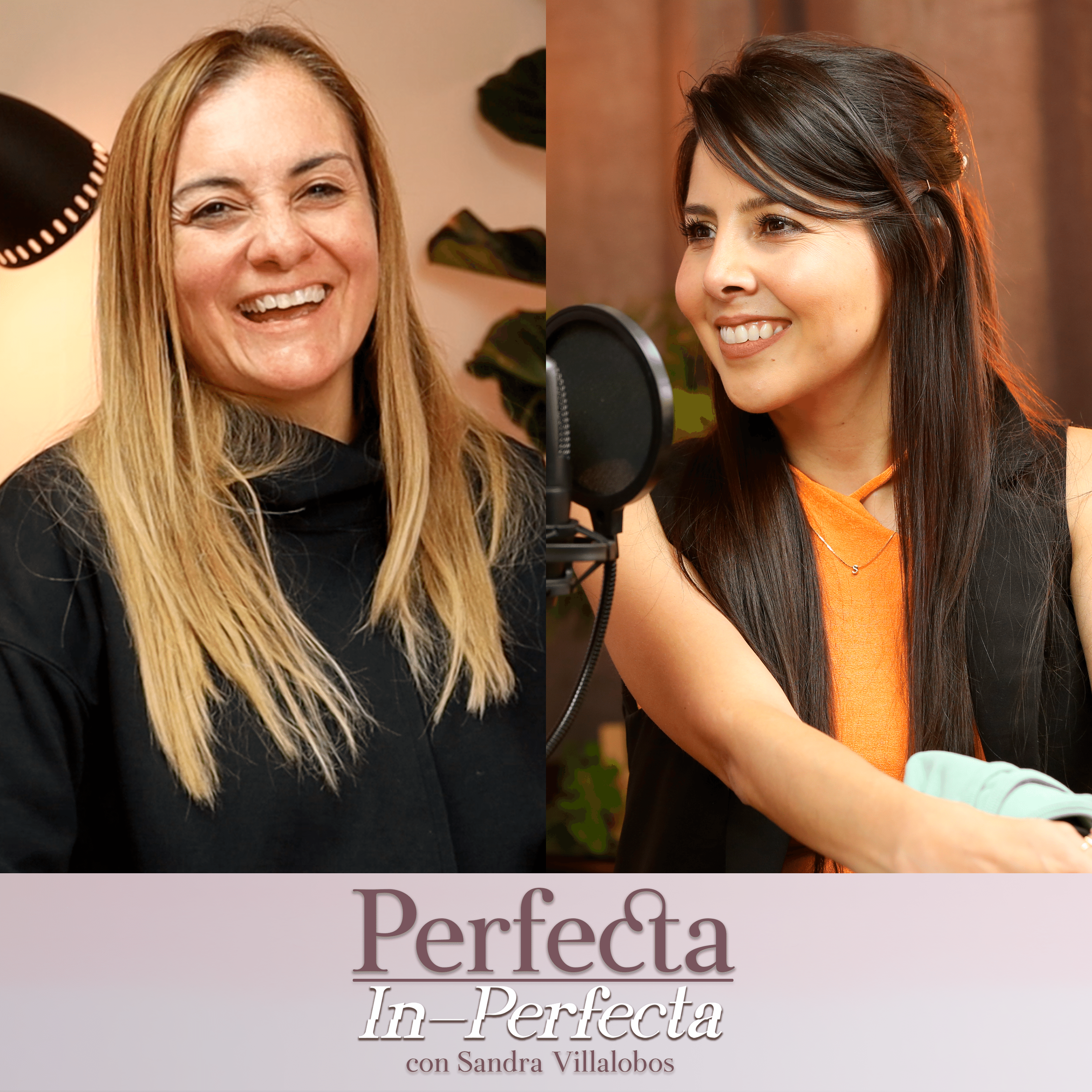 Perfecta In- Perfecta