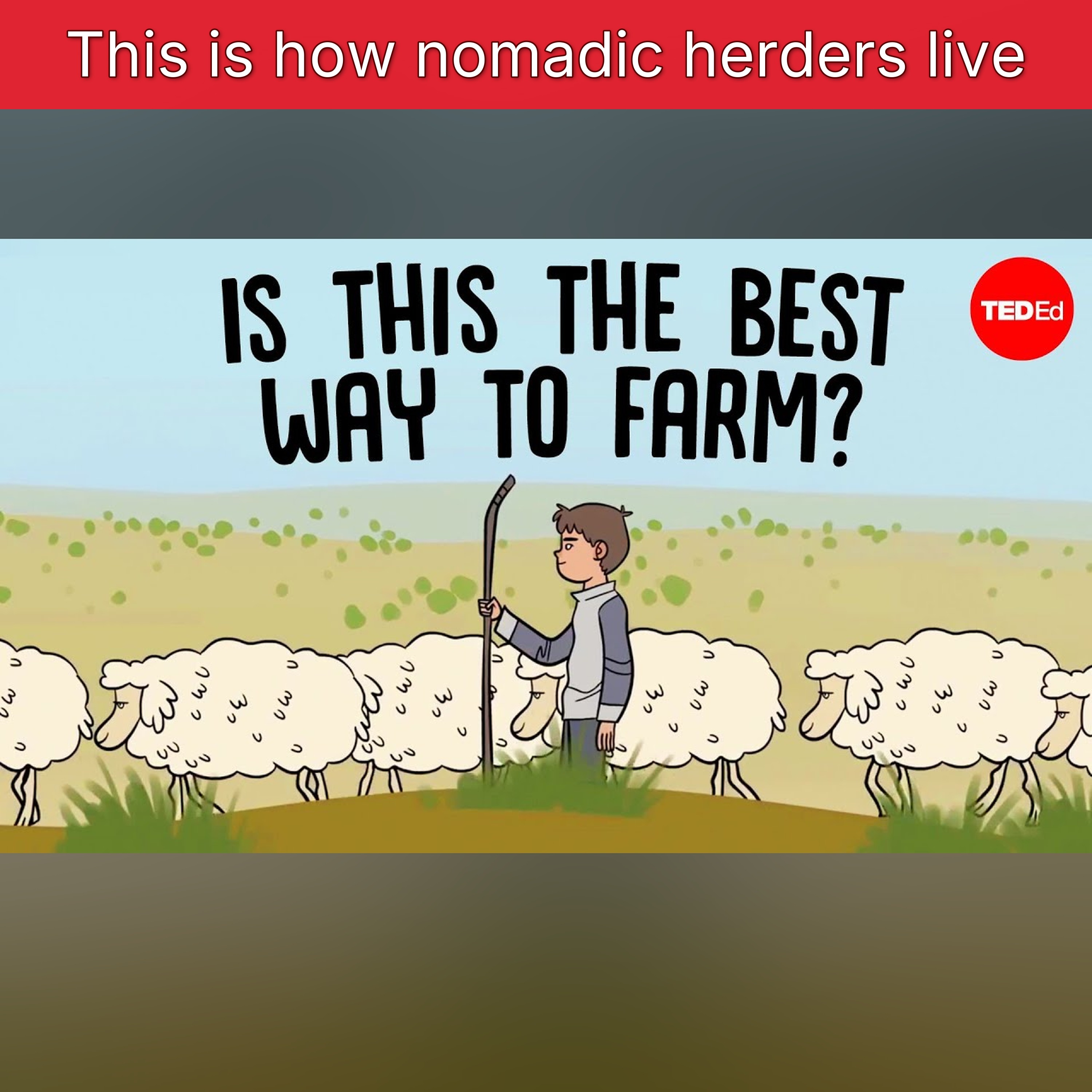 This is how nomadic herders live episode artwork