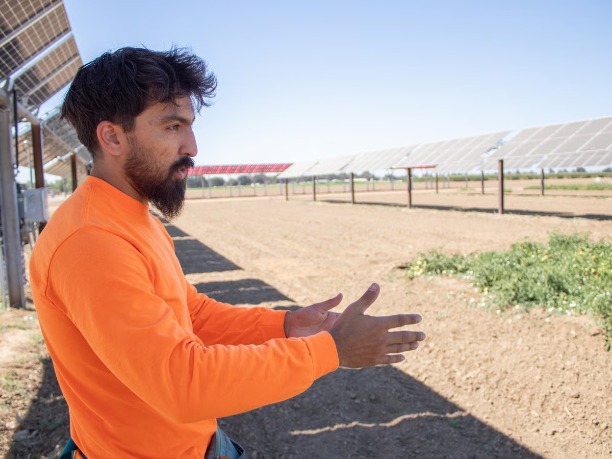 Can California farmers produce solar energy alongside food?