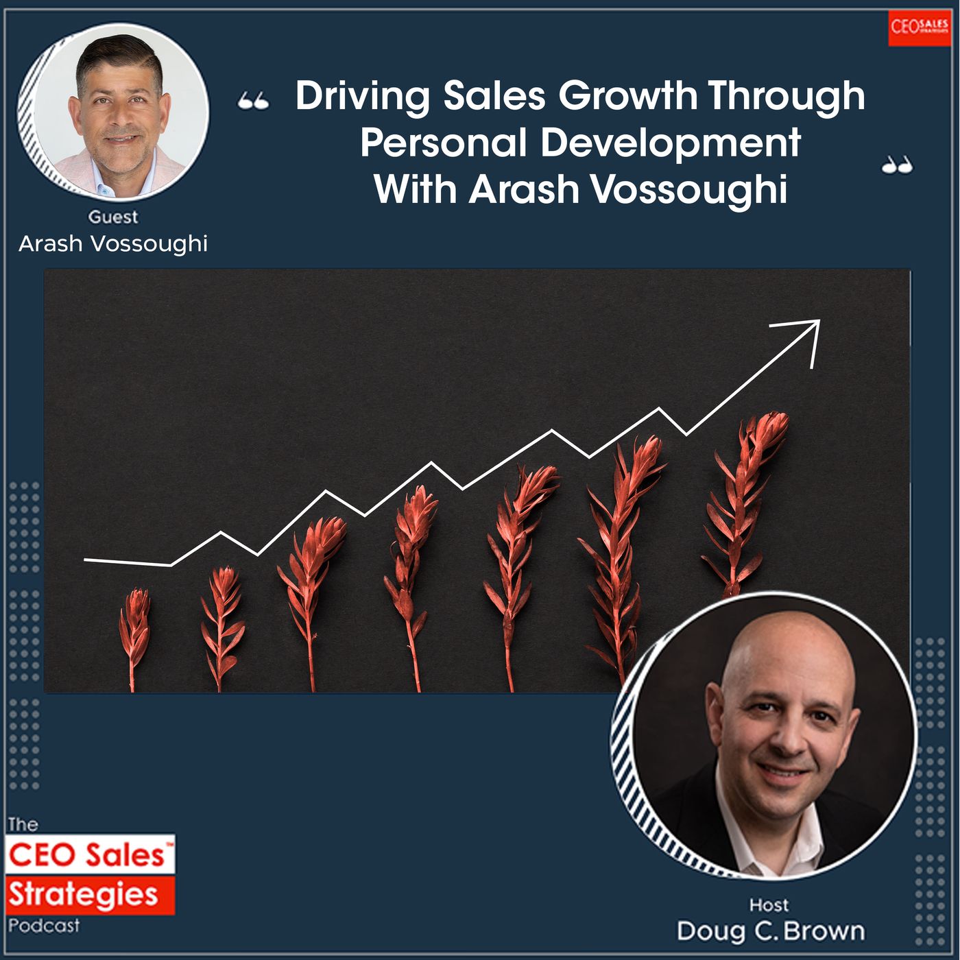 Driving Sales Growth Through Personal Development With Arash Vossoughi [Episode 161] episode artwork