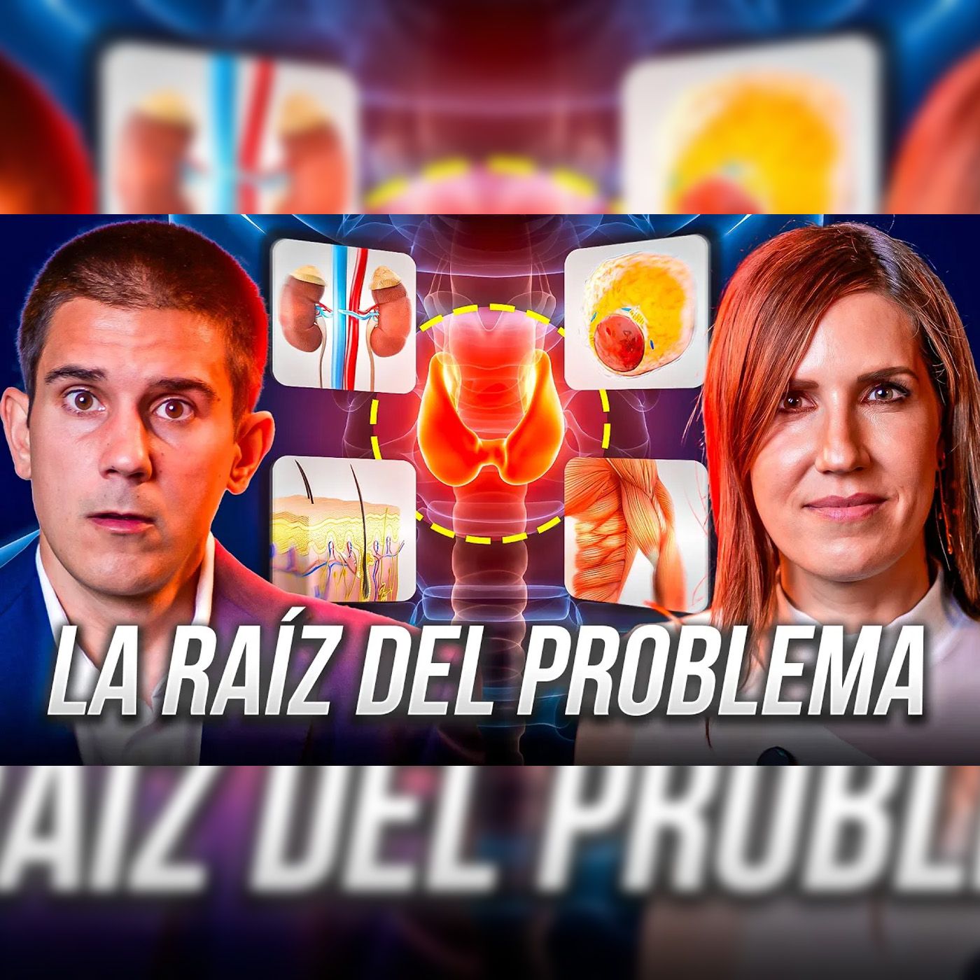 ¿Más PESO, CANSANCIO e HINCHAZÓN?👩‍⚕️Revisa ESTAS HORMONAS | Dra. Bartolomé, Endocrinóloga | E33 episode artwork