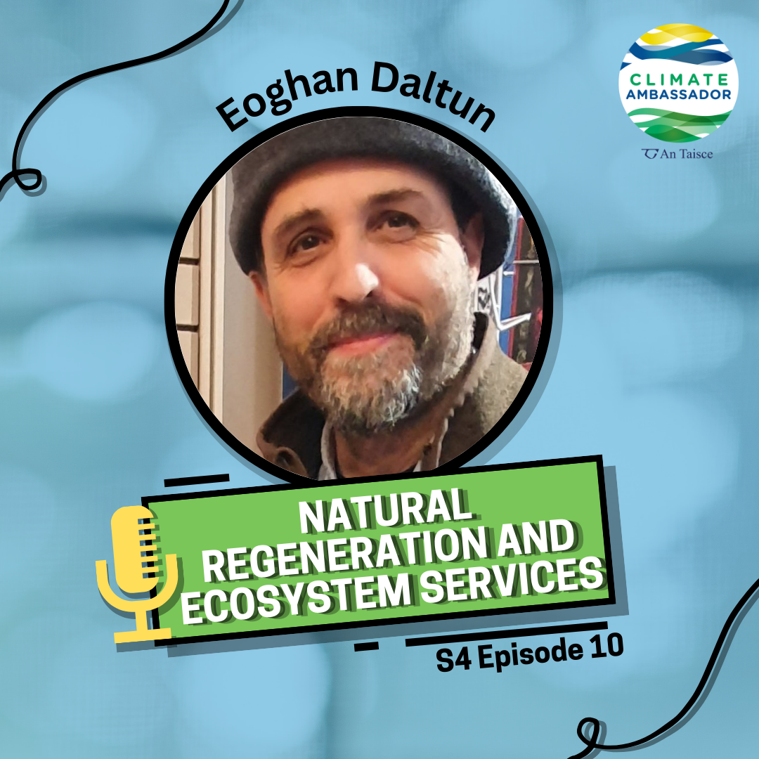 S4E10: Eoghan Daltun – Natural Regeneration and Ecosystem Services
