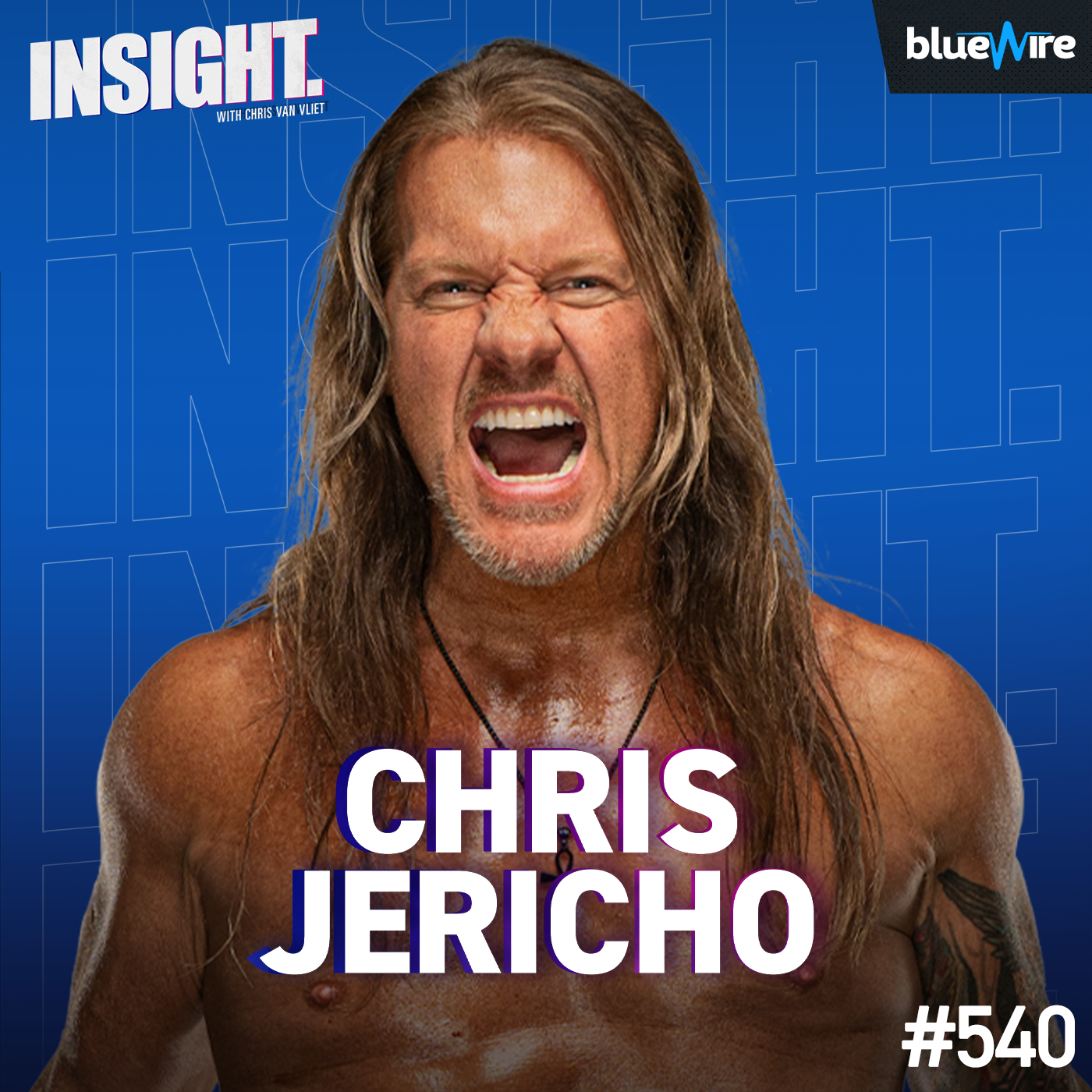 Chris Jericho Reflects On AEW's First 5 Years, Working For Tony Khan & Vince McMahon, Wanting To Fight Brock Lesnar For Real