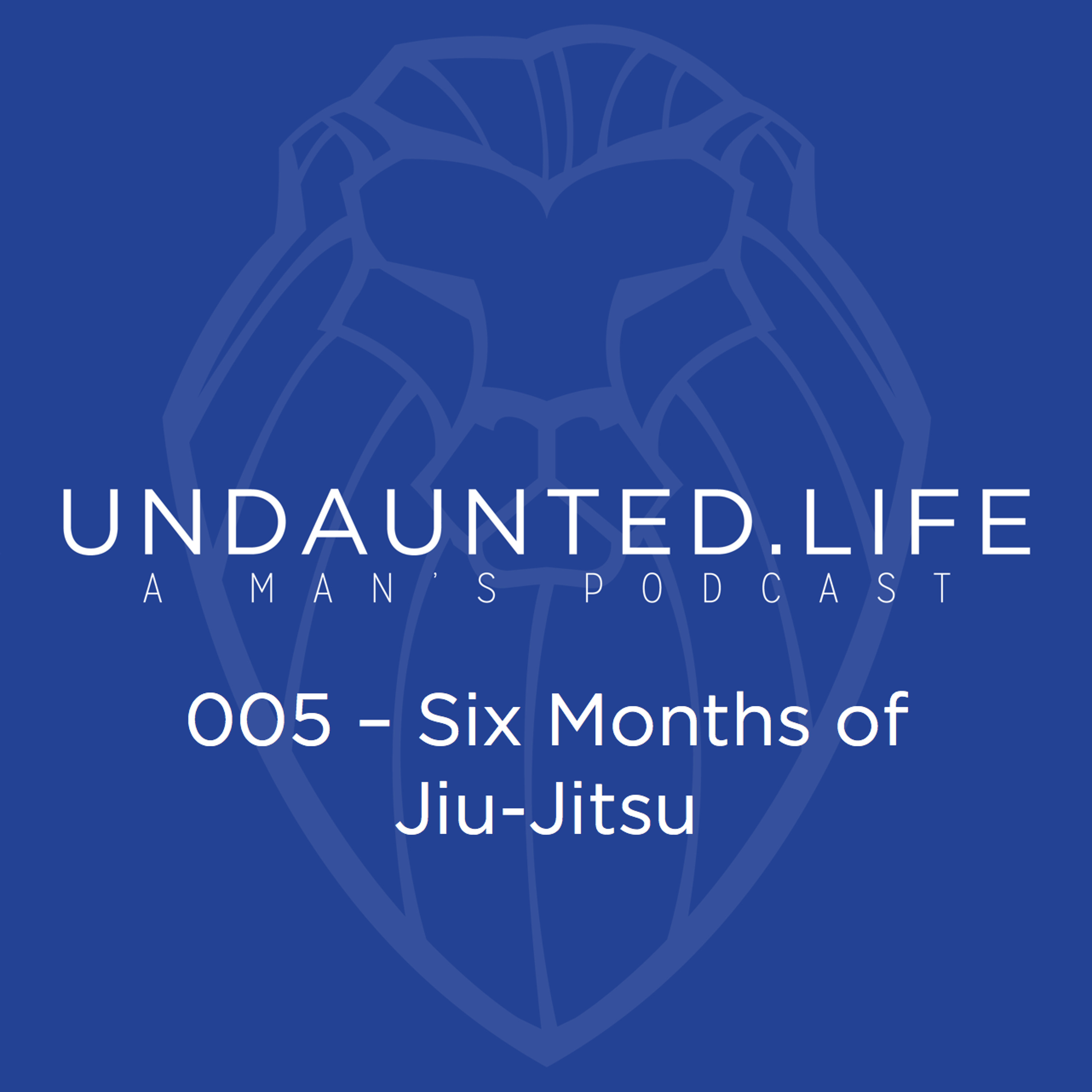 005 - Six Months of Jiu-Jitsu