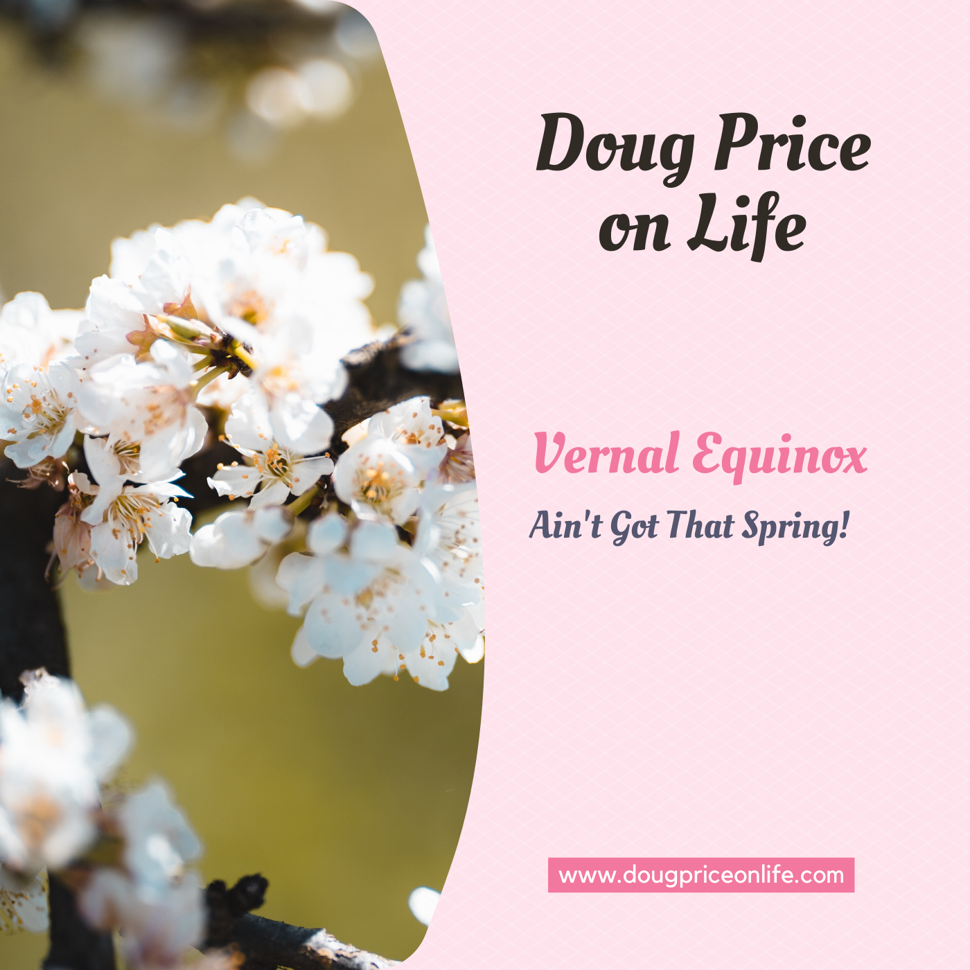 Vernal Equinox: Ain't Got That Spring episode artwork