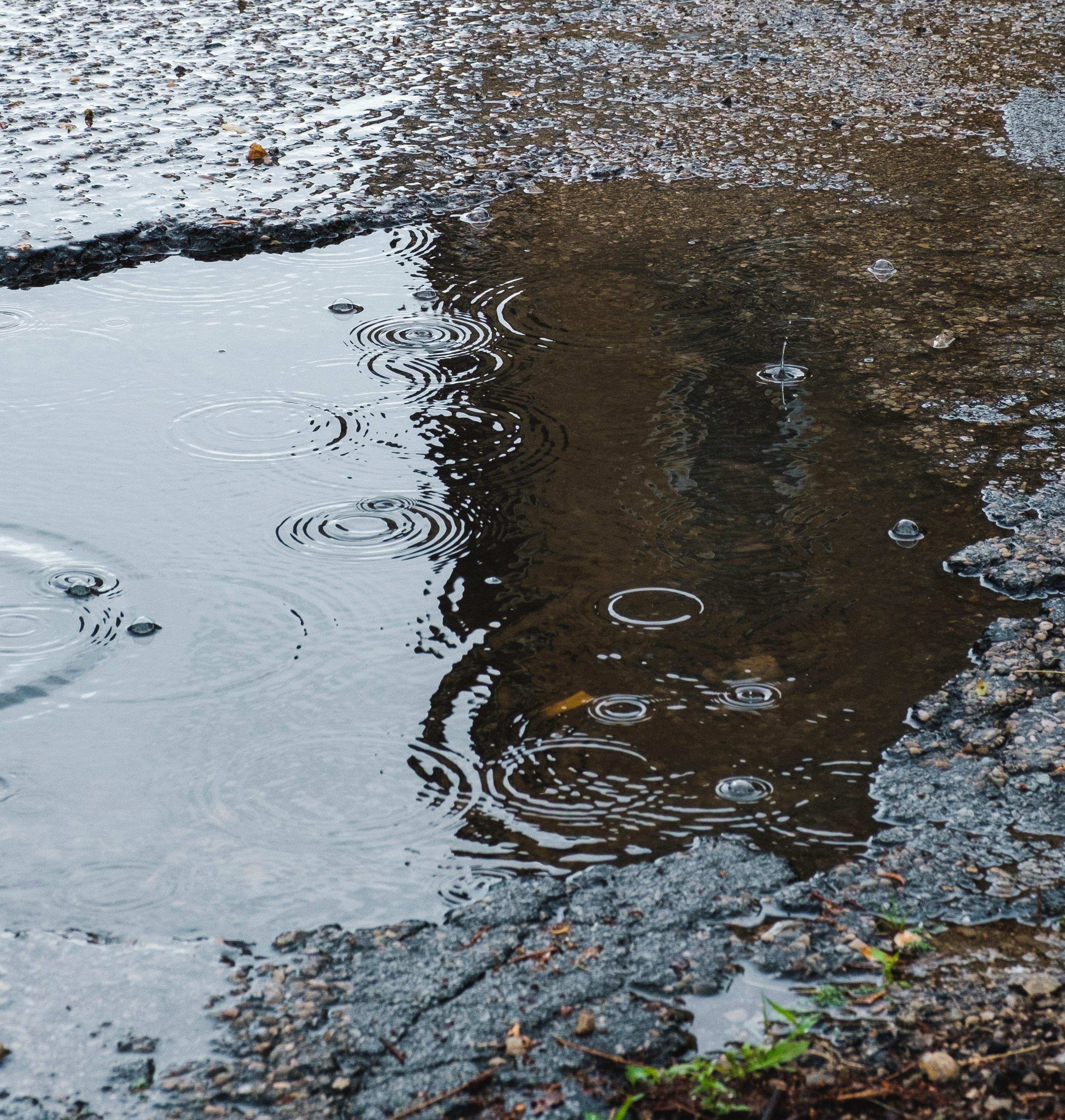 Rain Falling on Puddle: 8-Hour Tranquil Rain Soundscape for Relaxation, Studying & Sleep