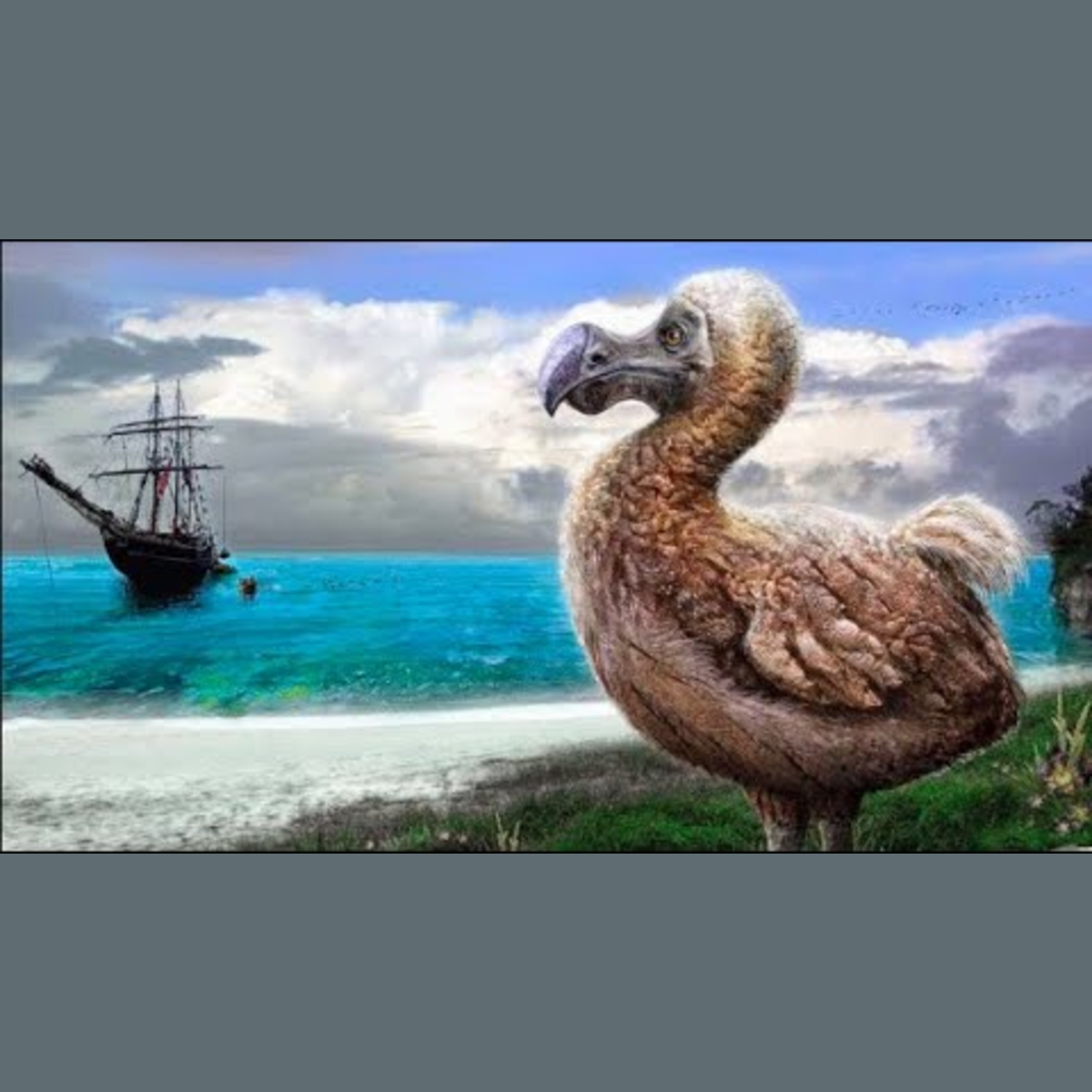 Dodo - Ancient Animal episode artwork