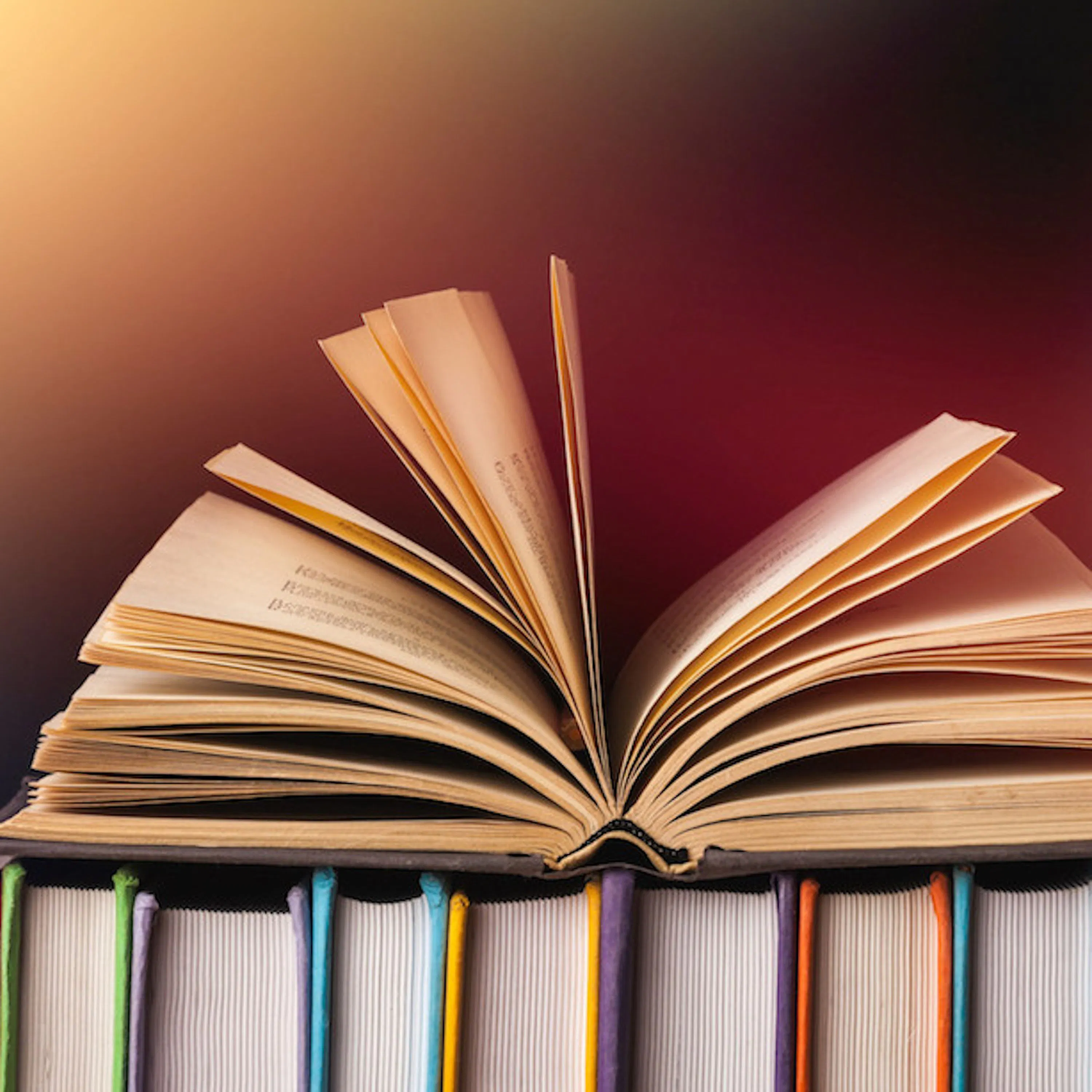 "Betty", le best-seller américain de la rentrée littéraire