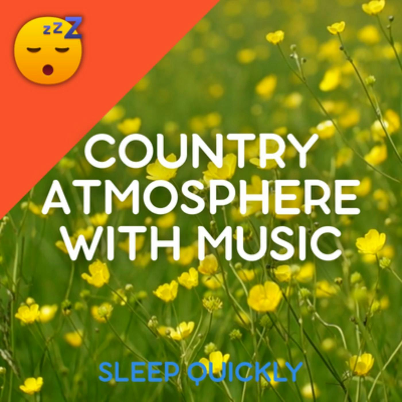 😴🍂🎵 COUNTRY Atmosphere with MUSIC episode artwork