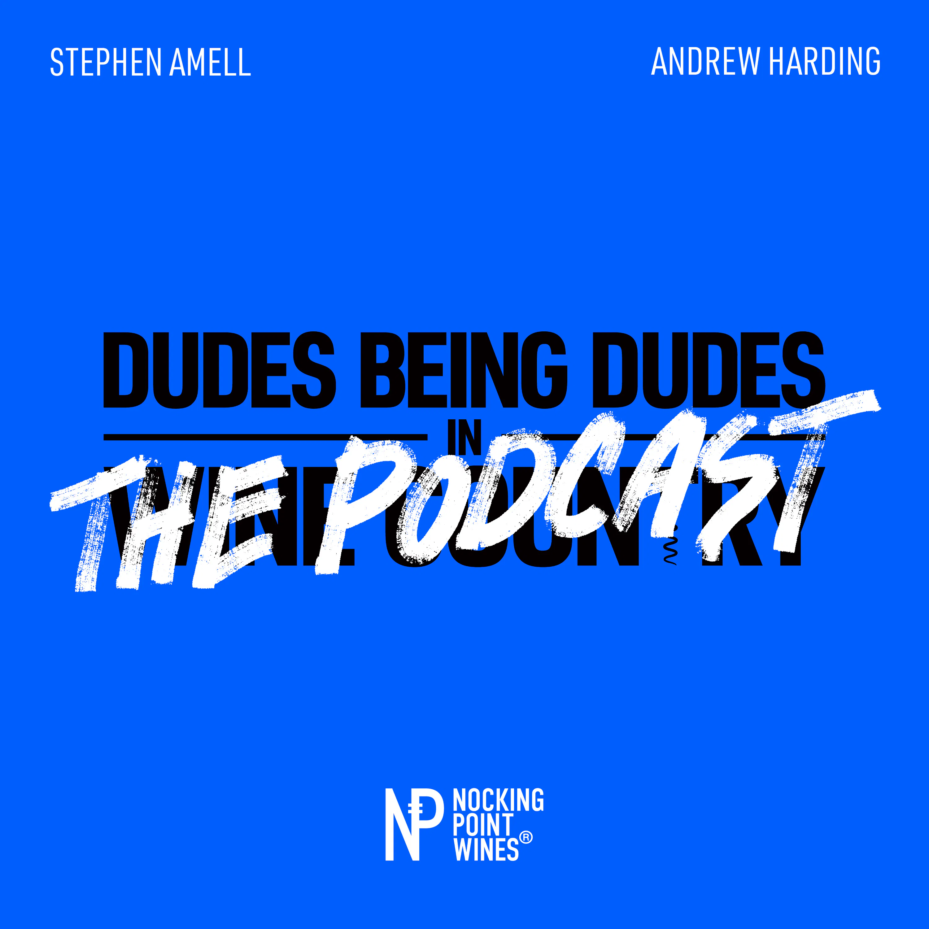 Dudes Being Dudes: The Podcast cover
