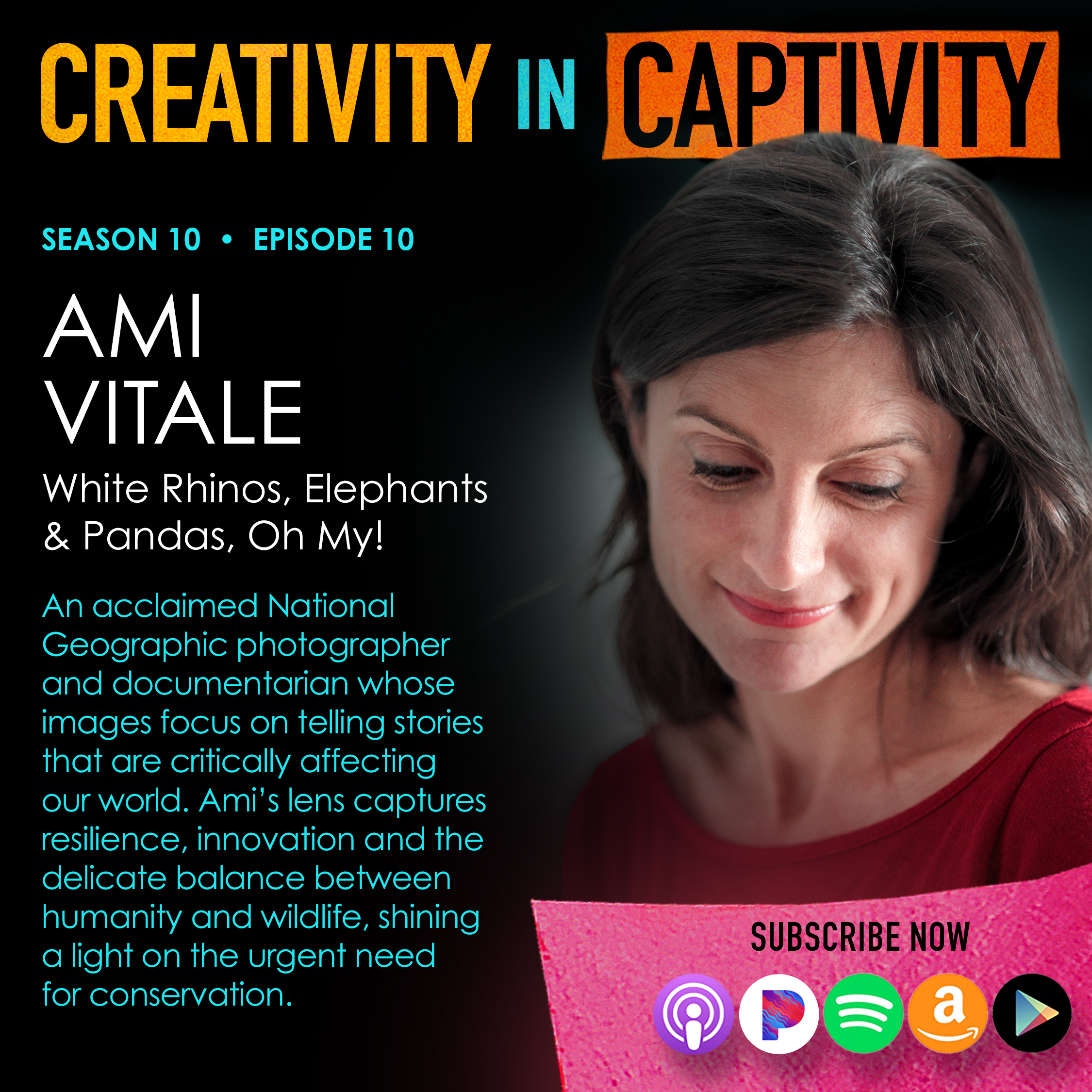 AMI VITALE: White Rhinos, Elephants & Pandas, Oh My!