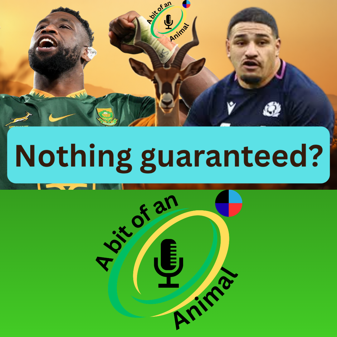 Distant Relatives | Springboks Vs Scotland Preview | A Bit of An Animal episode artwork
