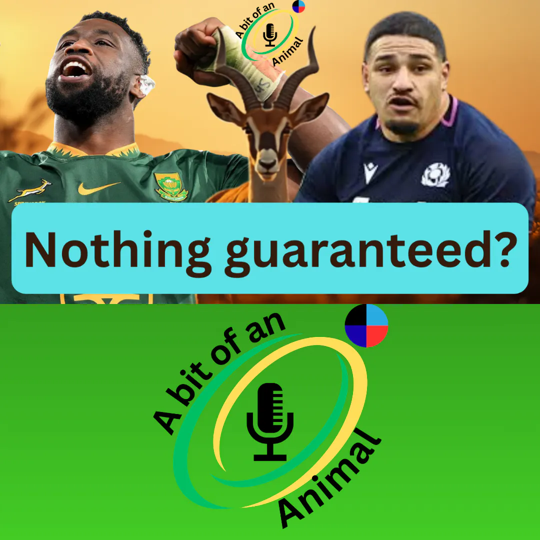 Distant Relatives | Springboks Vs Scotland Preview | A Bit of An Animal episode artwork