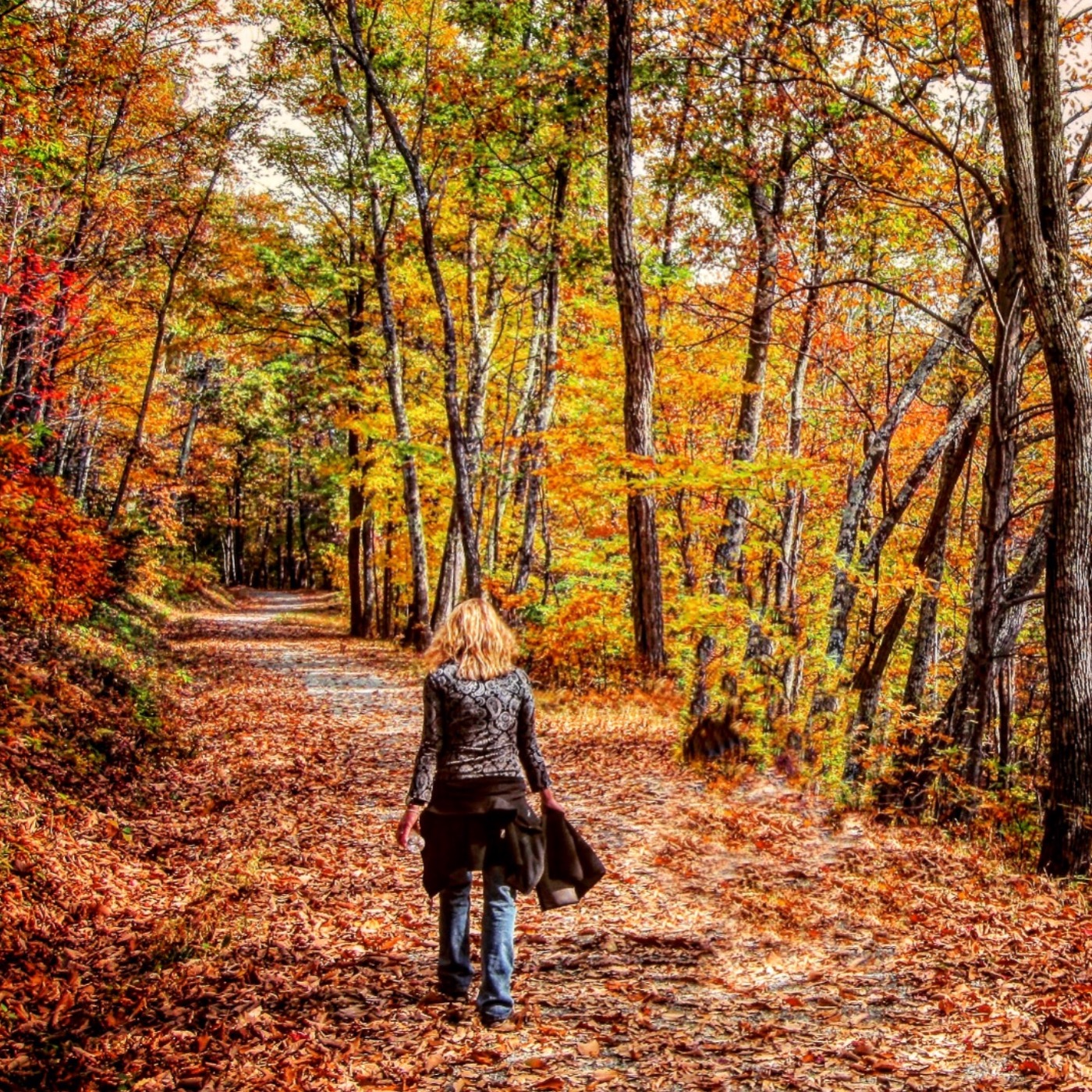 #50: The Best National Parks to Visit in Each Season