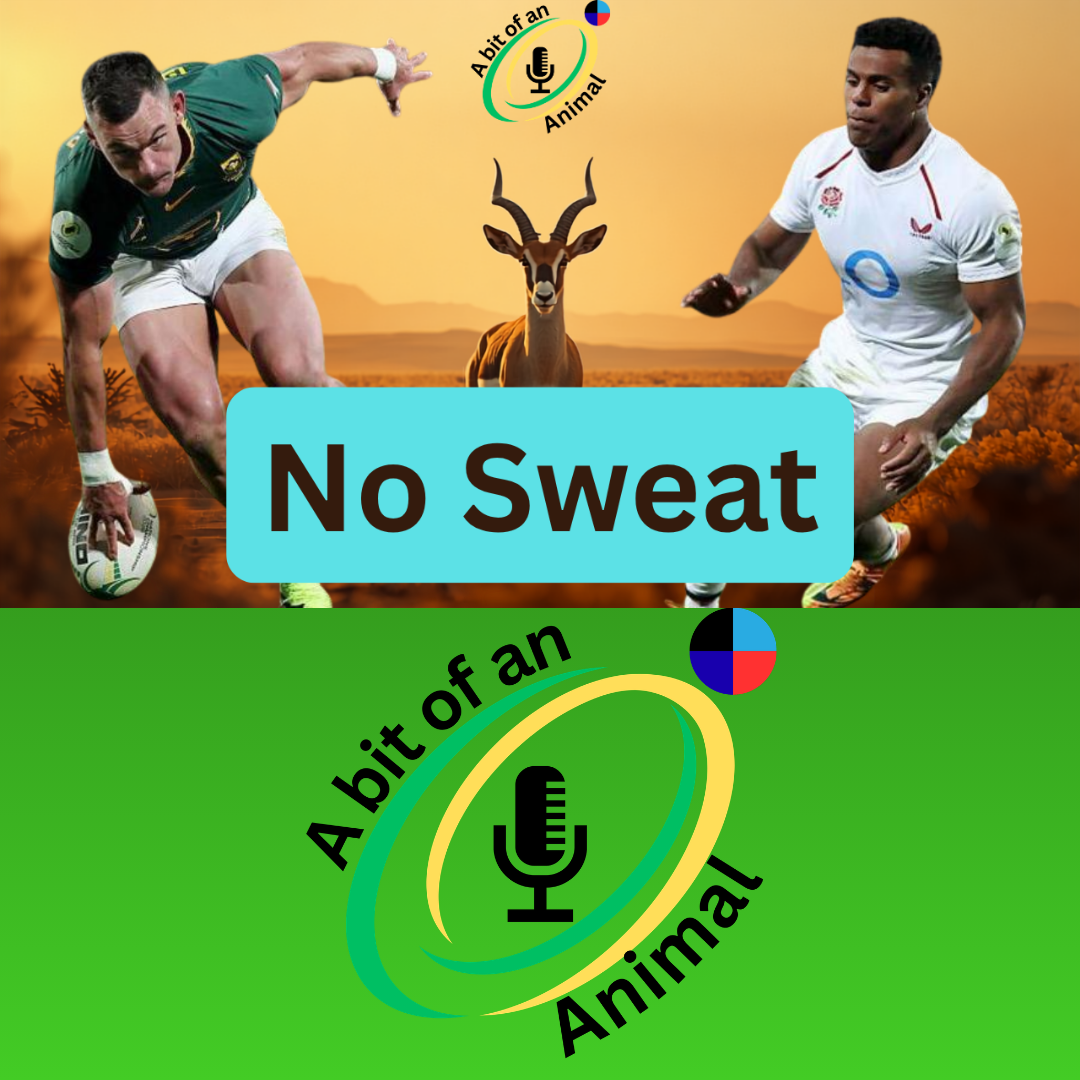 Light Work | Springboks Vs England Review | A Bit of An Animal episode artwork