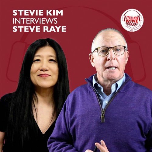 Ep. 504 Stevie Kim Interviews Steve Raye | Steve Raye How to Get U.S. Market Ready