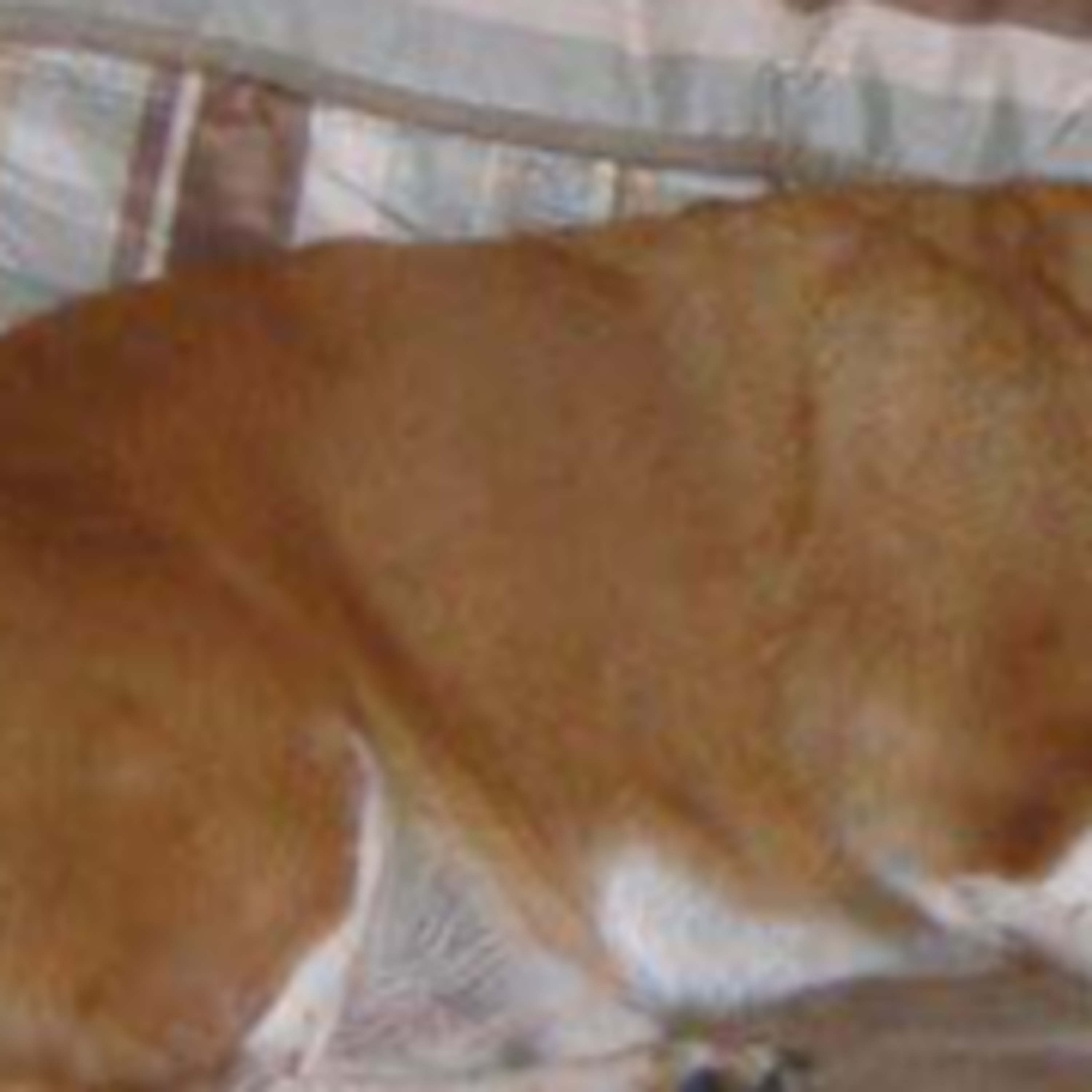 The Lawrence Ross Show