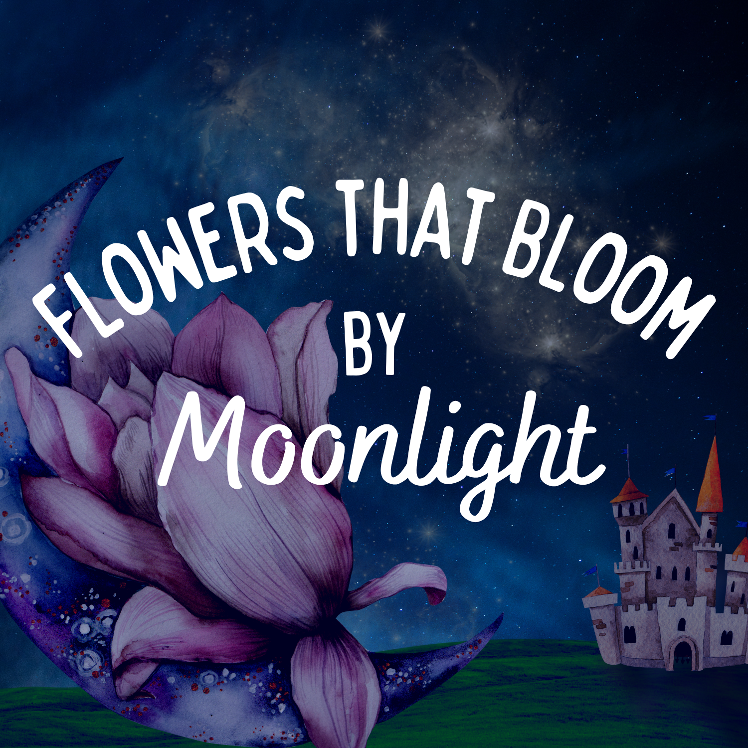 Flowers that Bloom by Moonlight