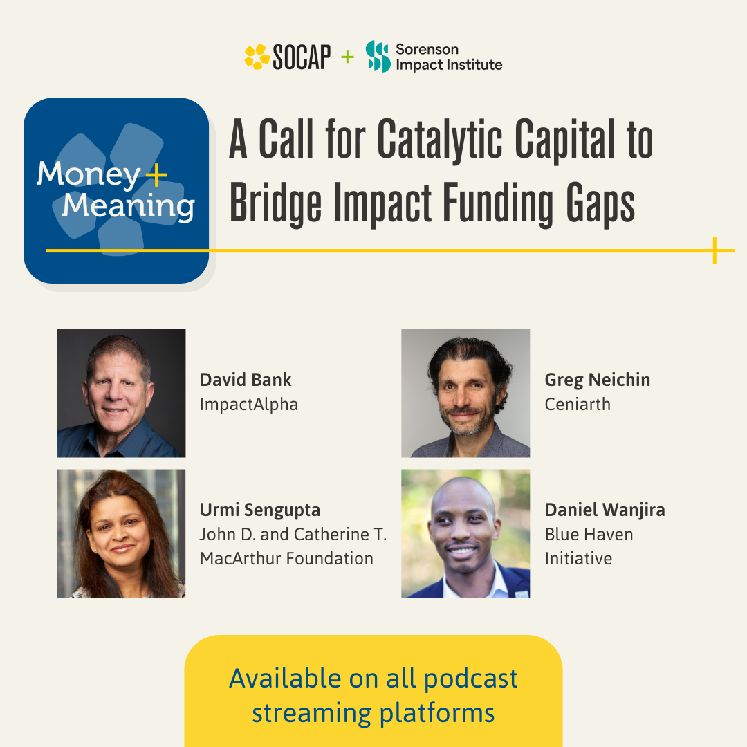 A Call for Catalytic Capital to Bridge Impact Funding Gaps