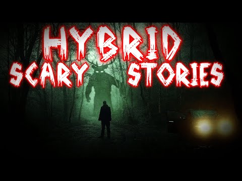 Volume 1: 11 True Hybrid Scary Stories | Non-Fiction Horror with Rain