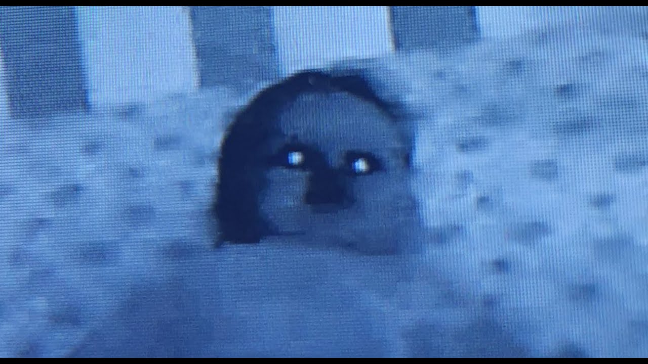 3 True Baby Monitor Horror Stories episode artwork