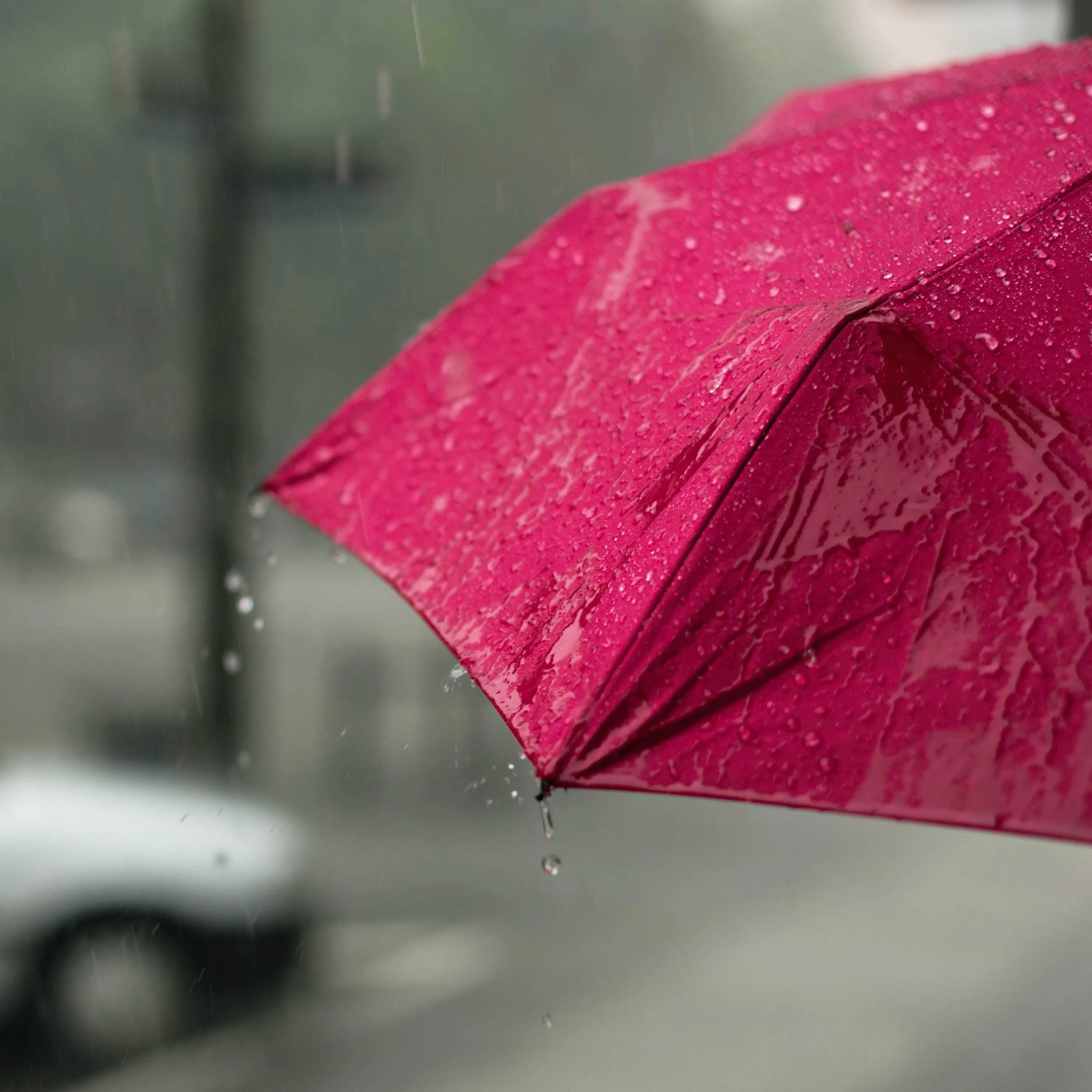 Rain Falling on Umbrella: 8-Hour Tranquil Rain Soundscape for Relaxation, Studying & Sleep episode artwork