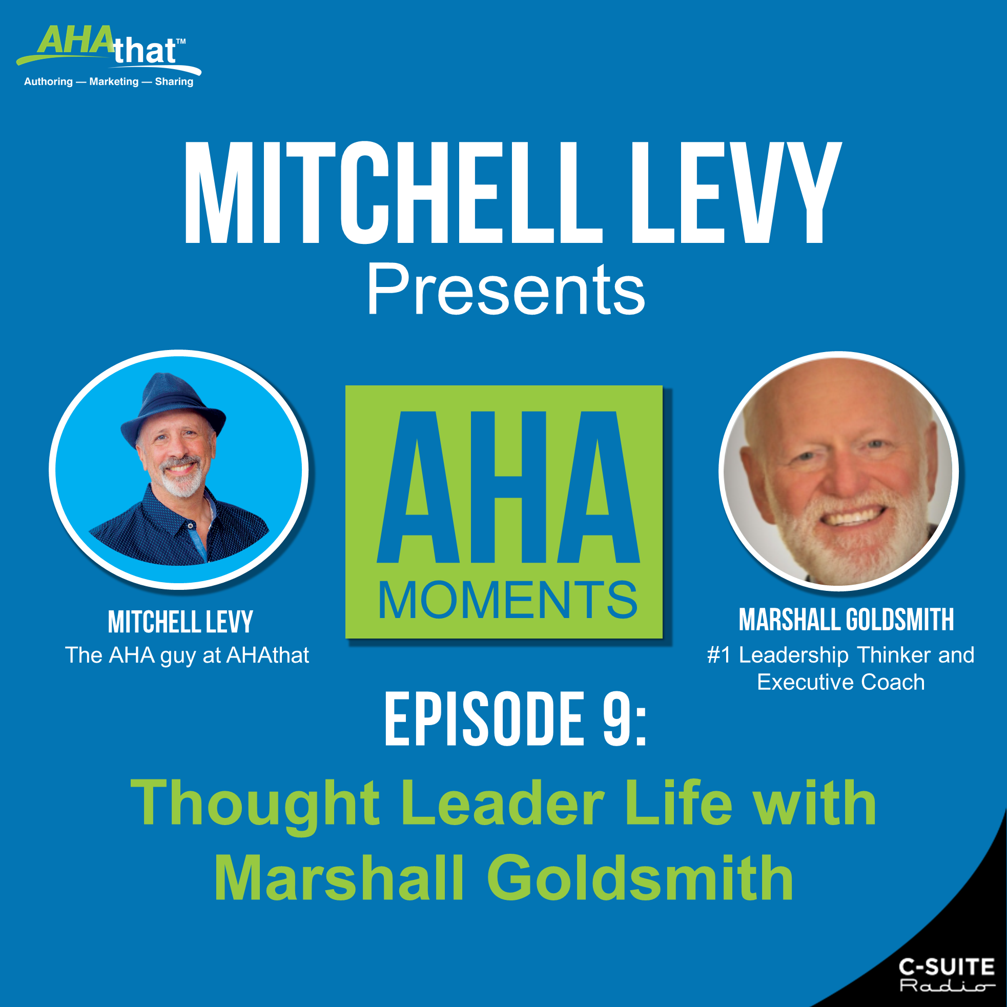 Mitchell Levy Presents AHA Moments