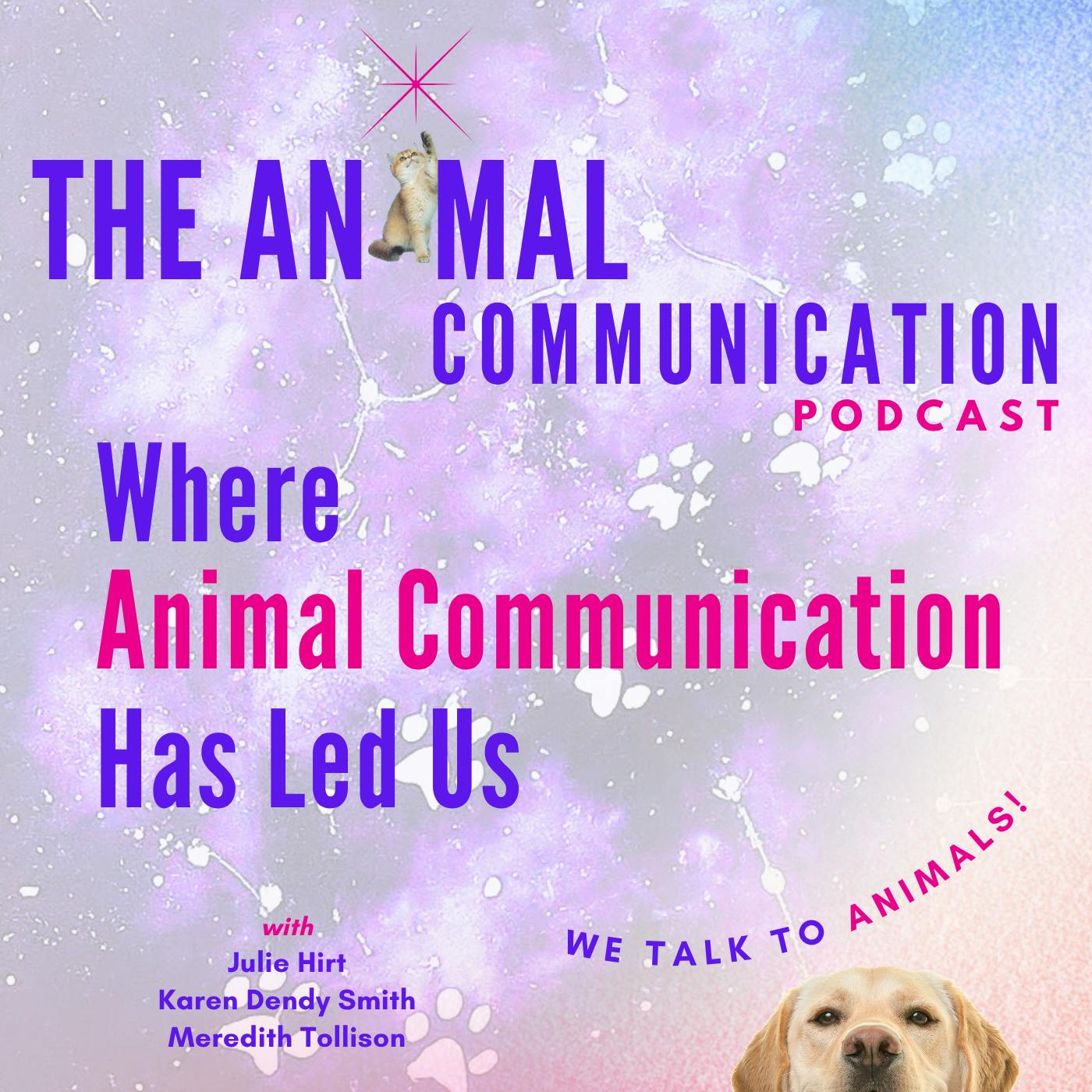 Where Animal Communication Has Led Us Where Animal Communication Has Led Us