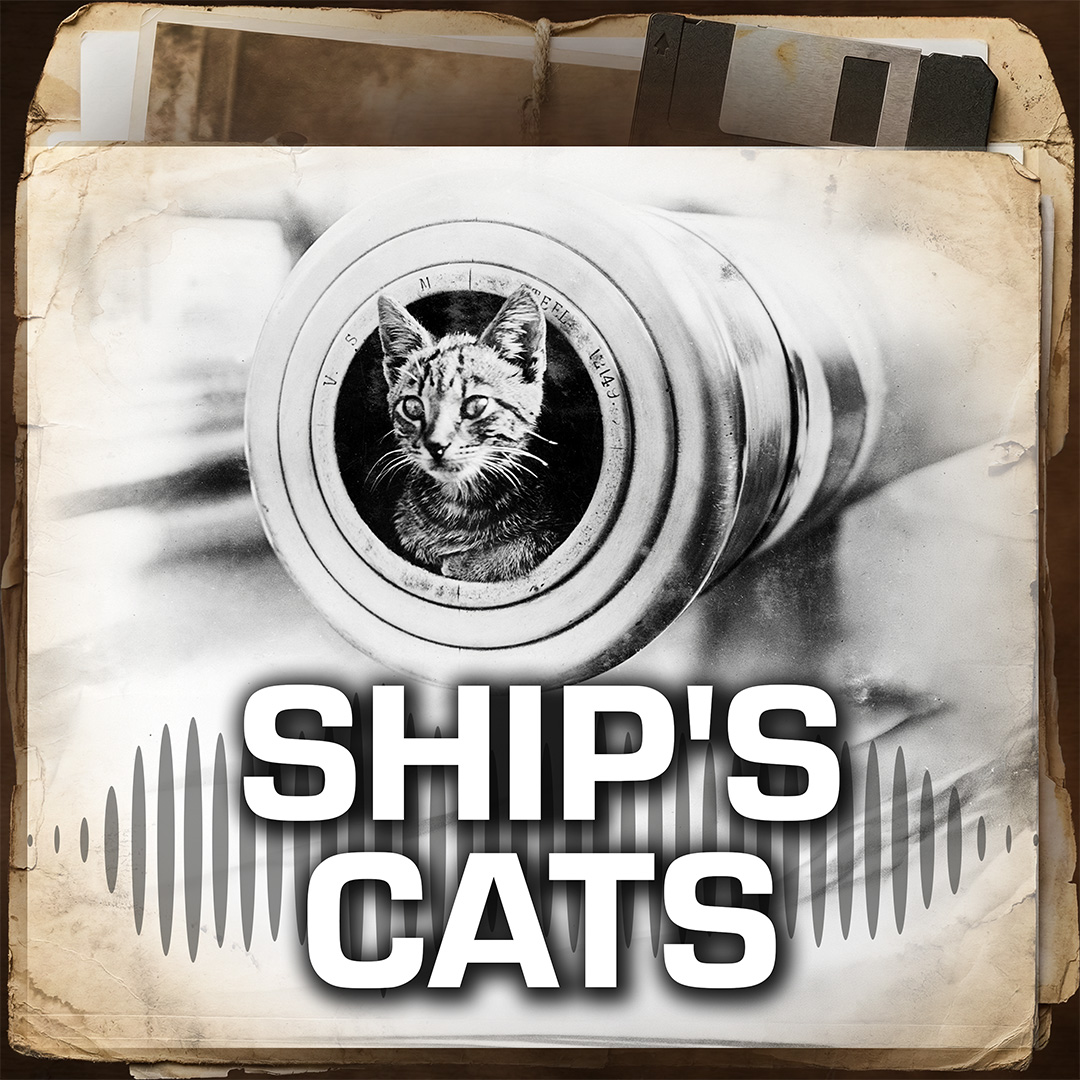 Episode 2: The History of Cats on Ships