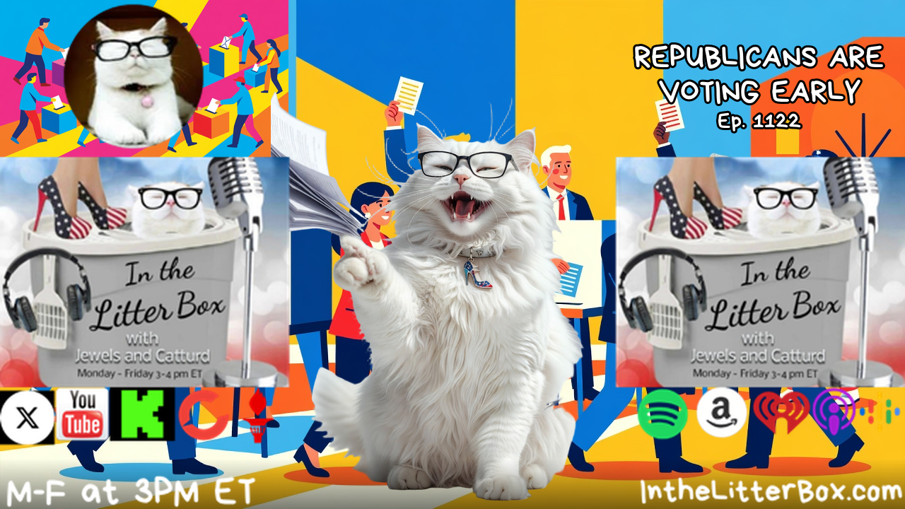 REPUBLICANS ARE VOTING EARLY | In the Litter Box w/ Jewels & Catturd – Ep. 1122 – 10/23/2026 episode artwork