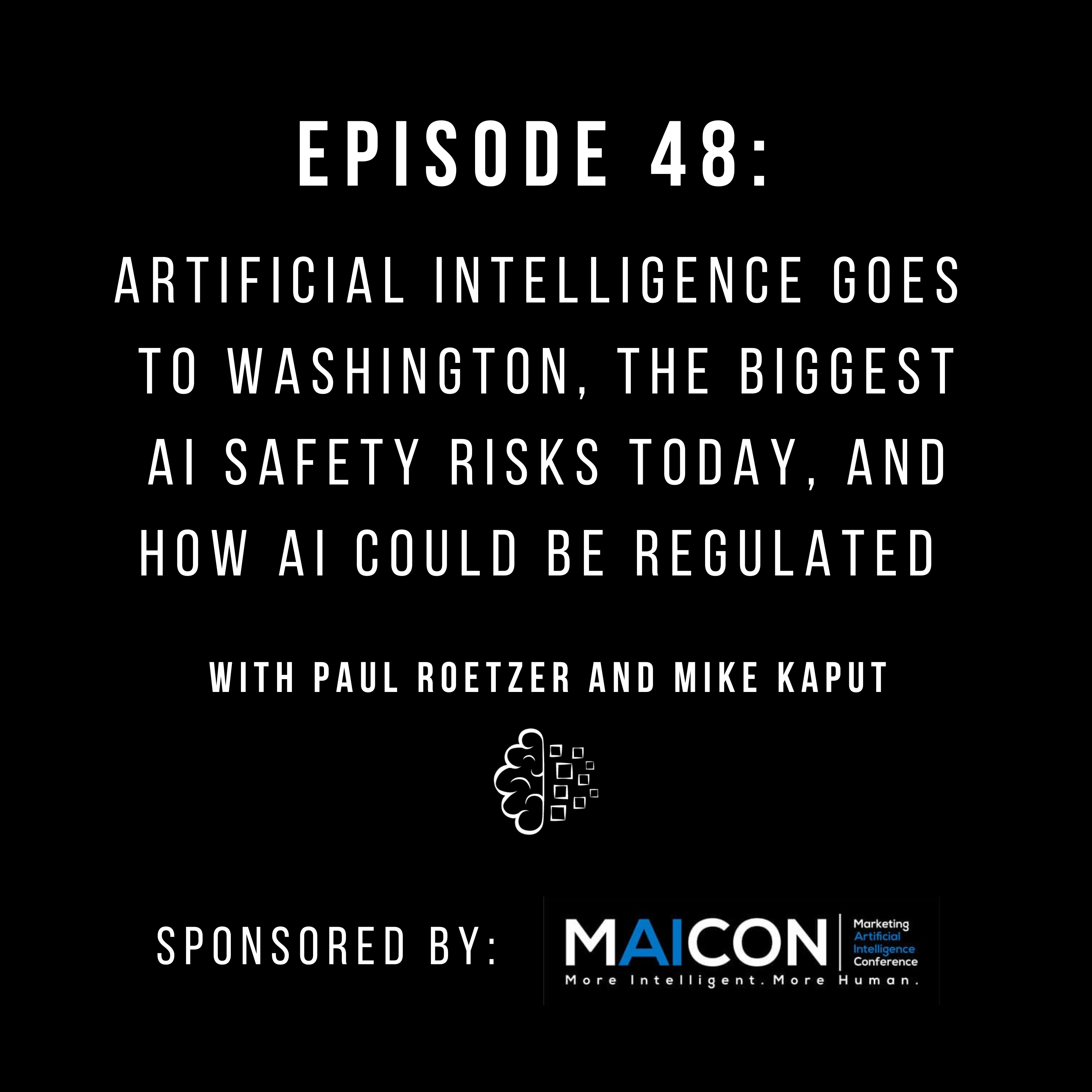 #48: Artificial Intelligence Goes to Washington, the Biggest AI Safety Risks Today, and How AI Could Be Regulated