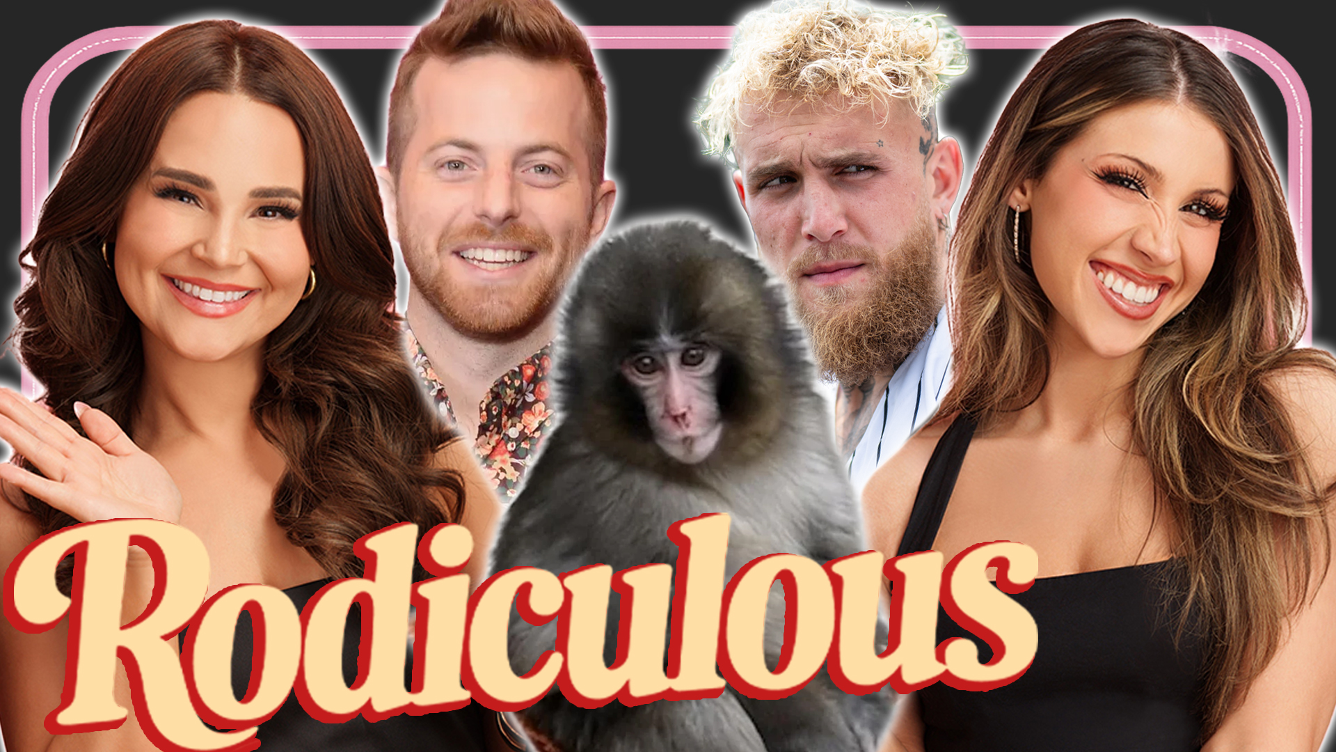 Addressing The Rumors, Ned Fulmer's Dating Profile, Jake Paul, Punch The Monkey | Rodiculous