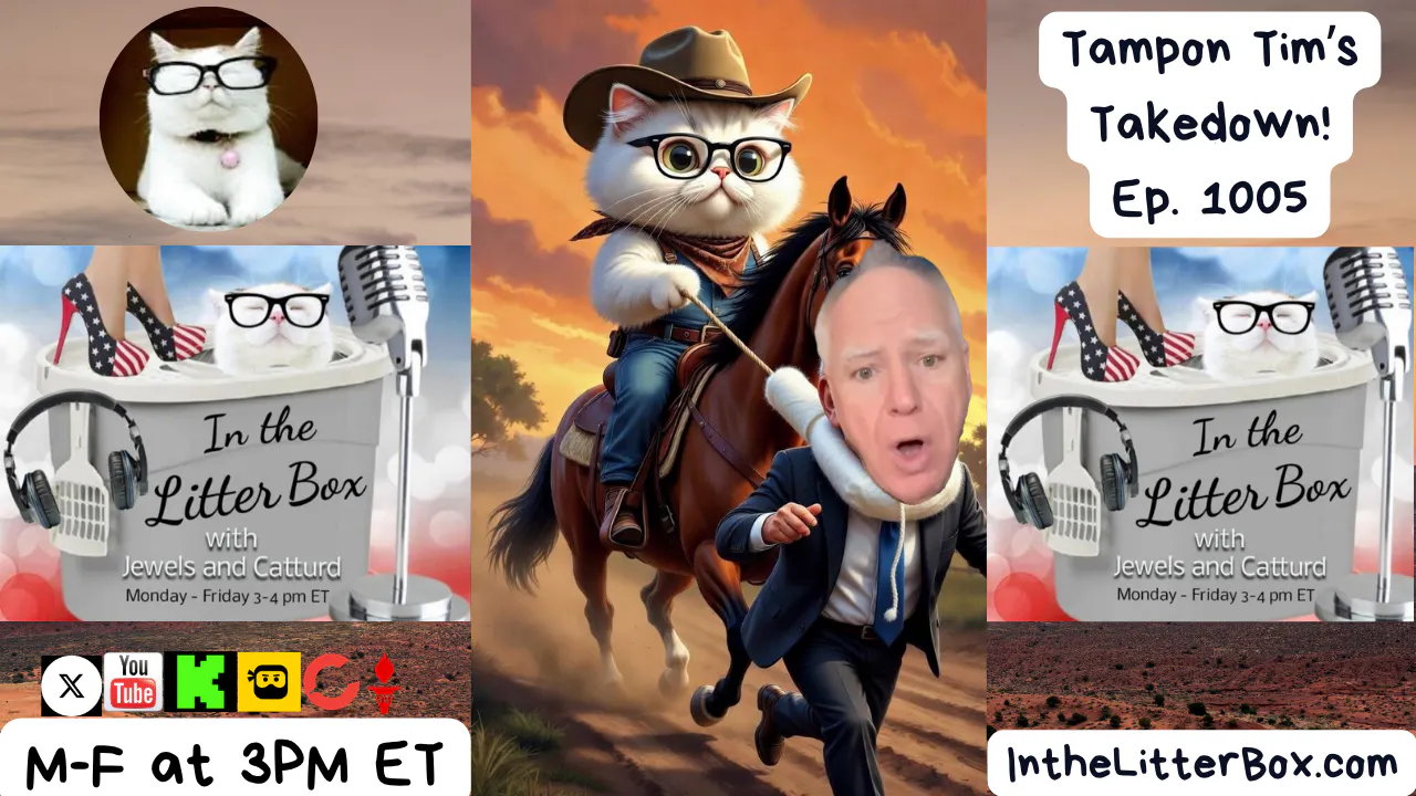 Tampon Tim Takedown! | In the Litter Box w/ Jewels Jones & Catturd – Ep. 1005 4/16/2026 episode artwork