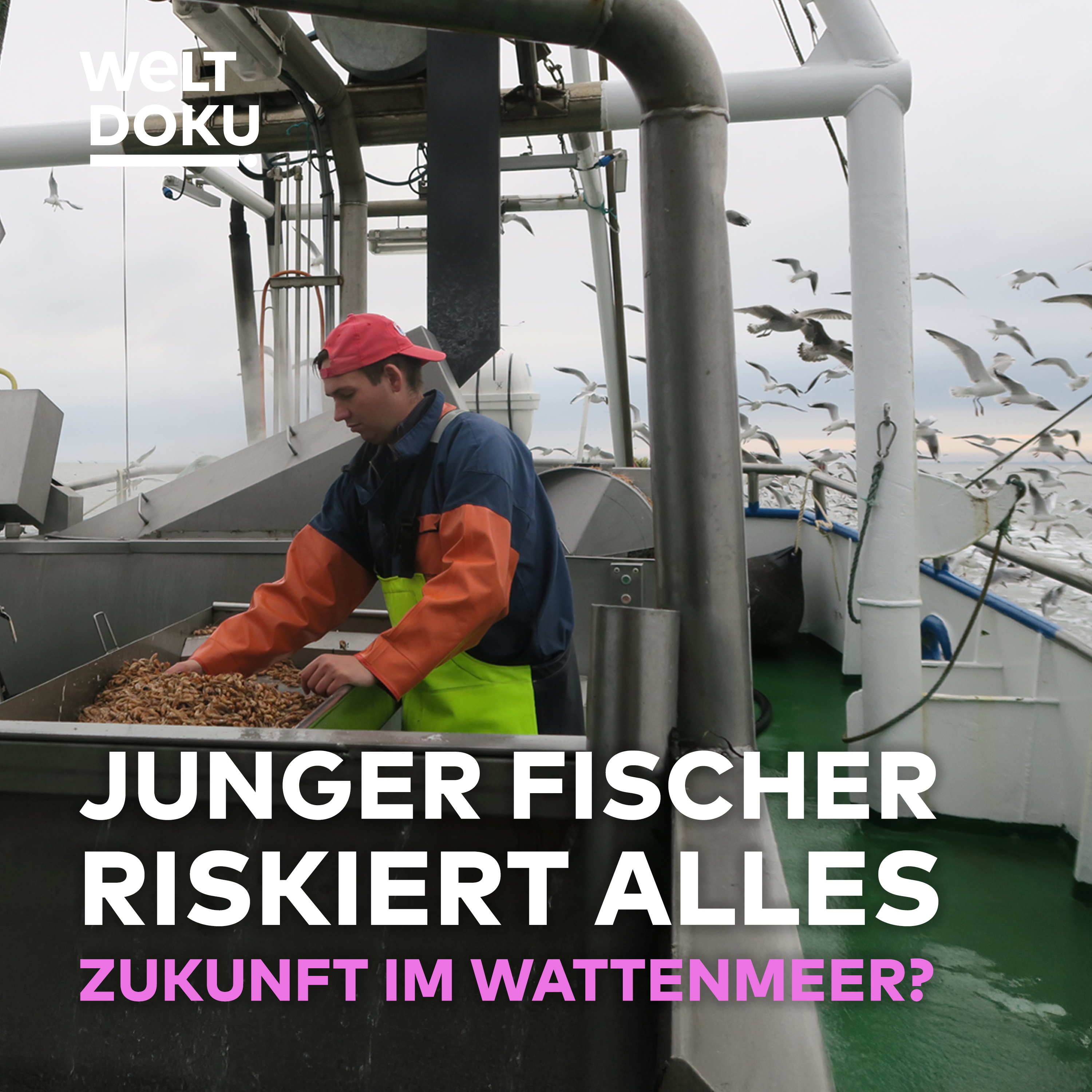 Krabbenfang, Klimawandel, Kredit: Ein junger Fischer riskiert alles episode artwork