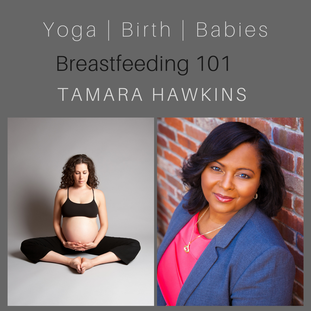 Breastfeeding 101 with Tamara Hawkins episode artwork