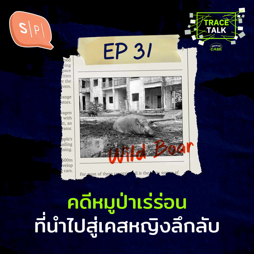 คดีหมูป่าเร่ร่อนที่นำไปสู่เคสหญิงลึกลับ | Trace Talk EP31