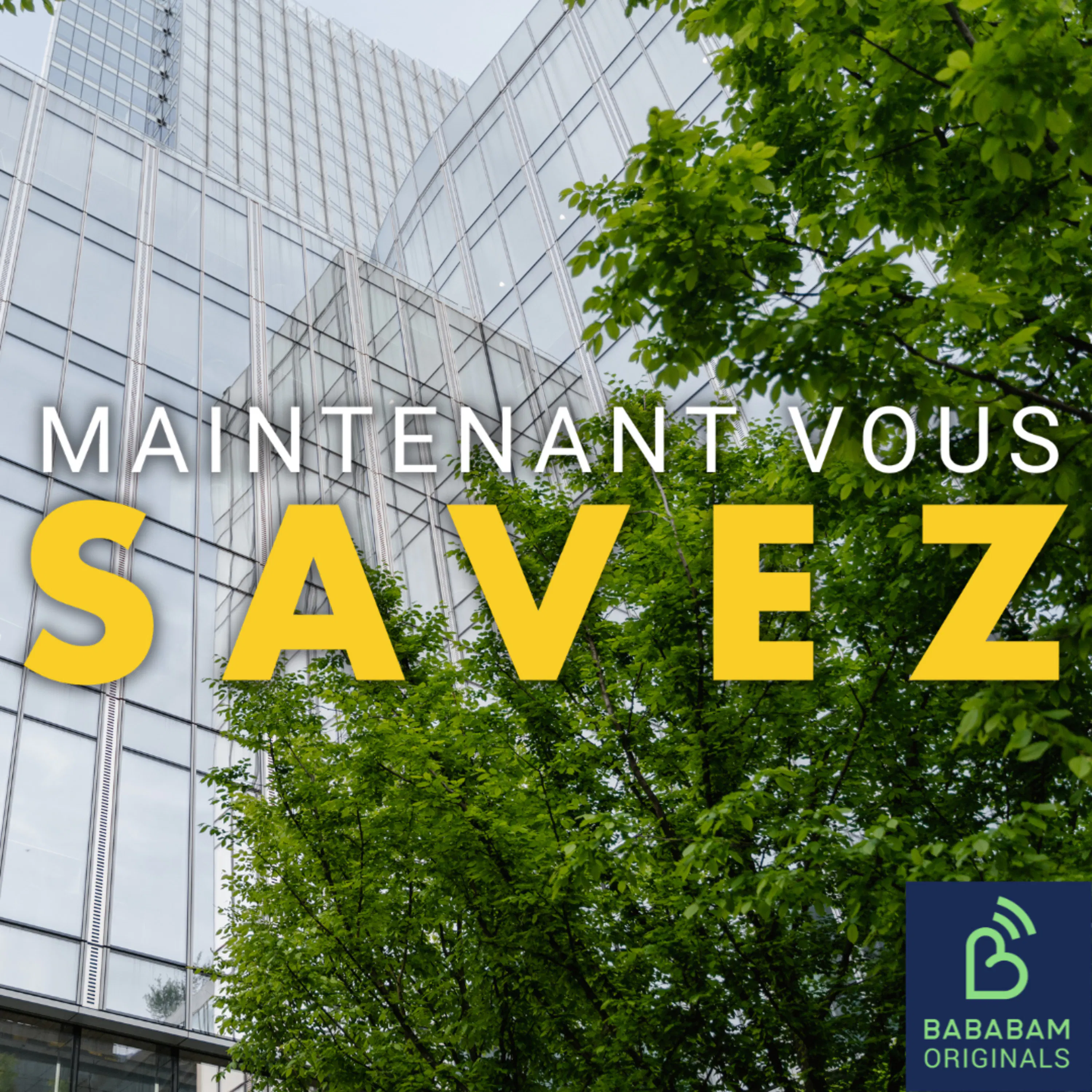 Comment les arbres rafraîchissent-ils la ville ?