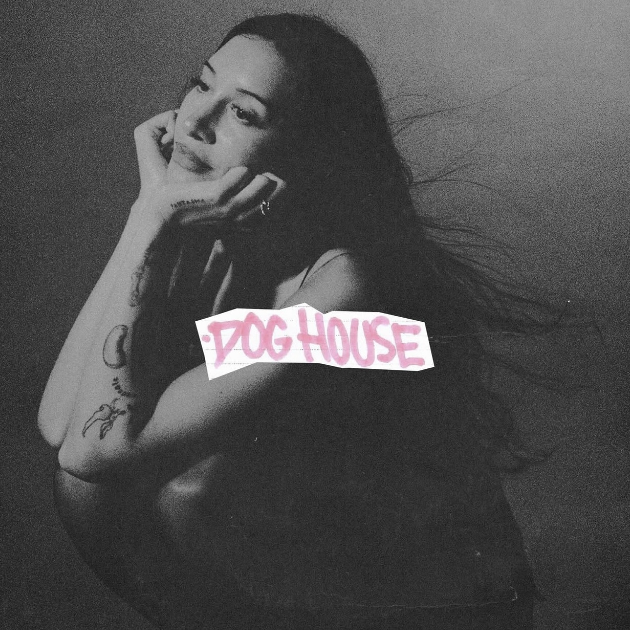 Drake - DOGHOUSE (ft. Yeat) episode artwork