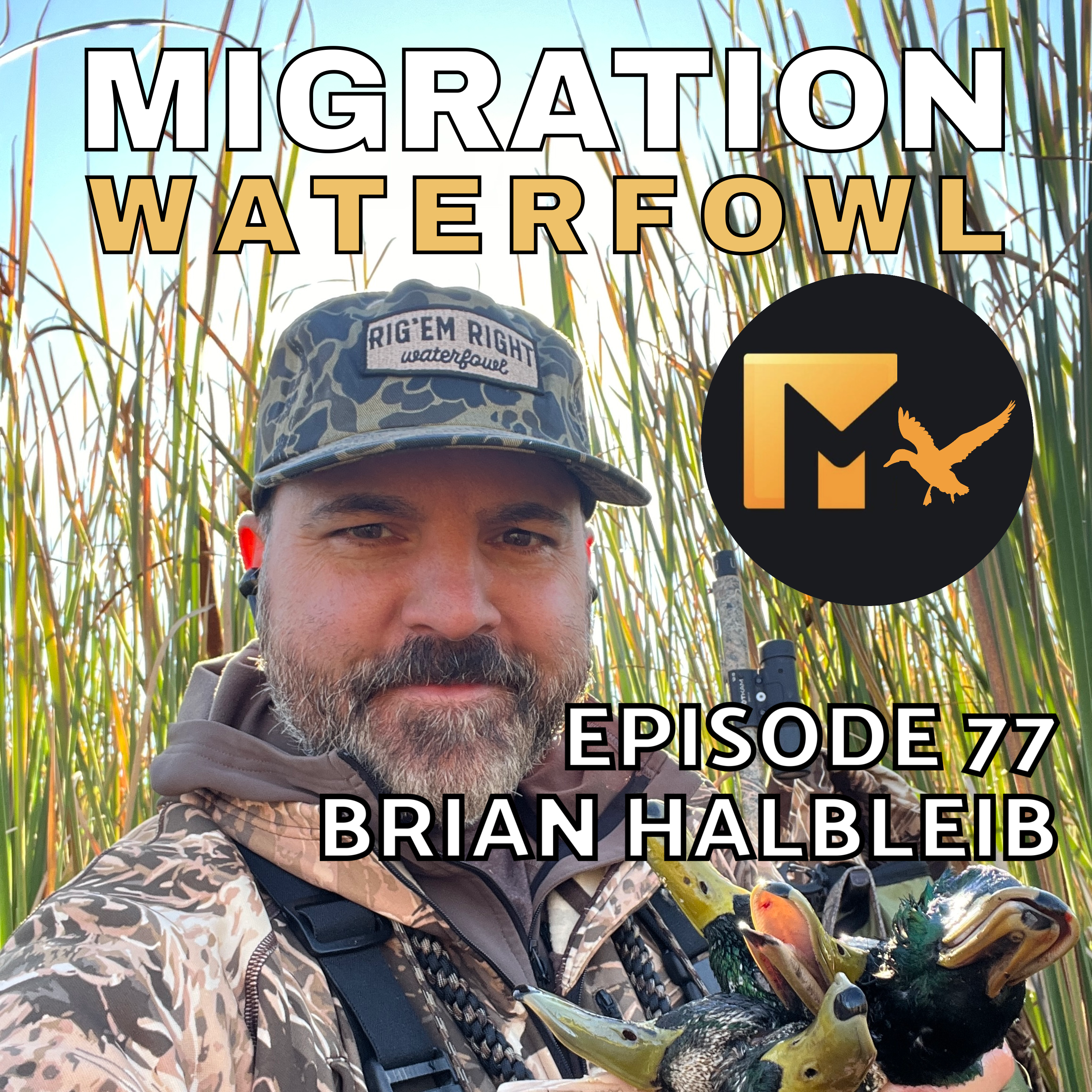 The Migration Waterfowl Podcast