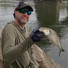 Rob's Urban Shad Talk From Maryland Chapter Trout Unlimited