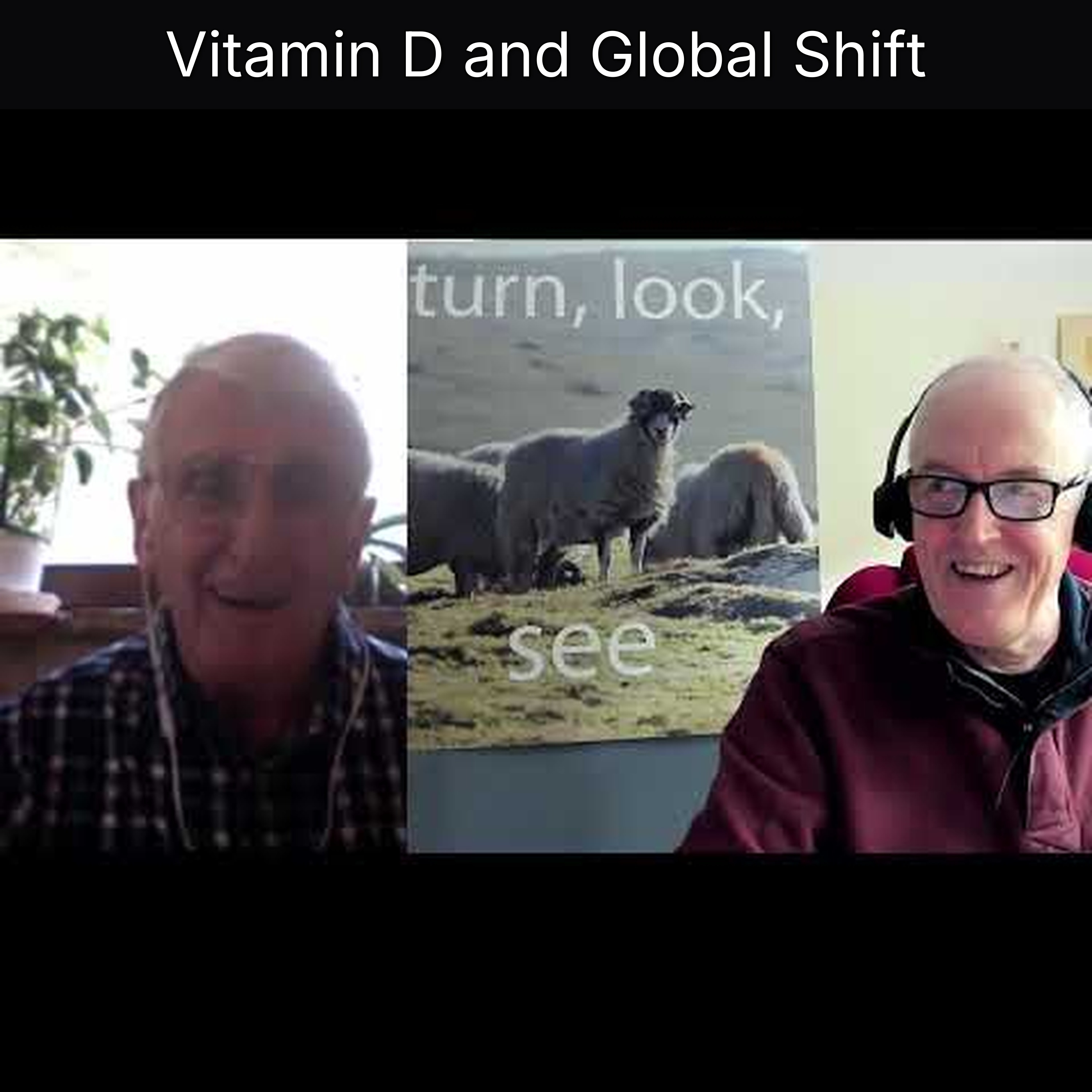Vitamin D and Global Shift