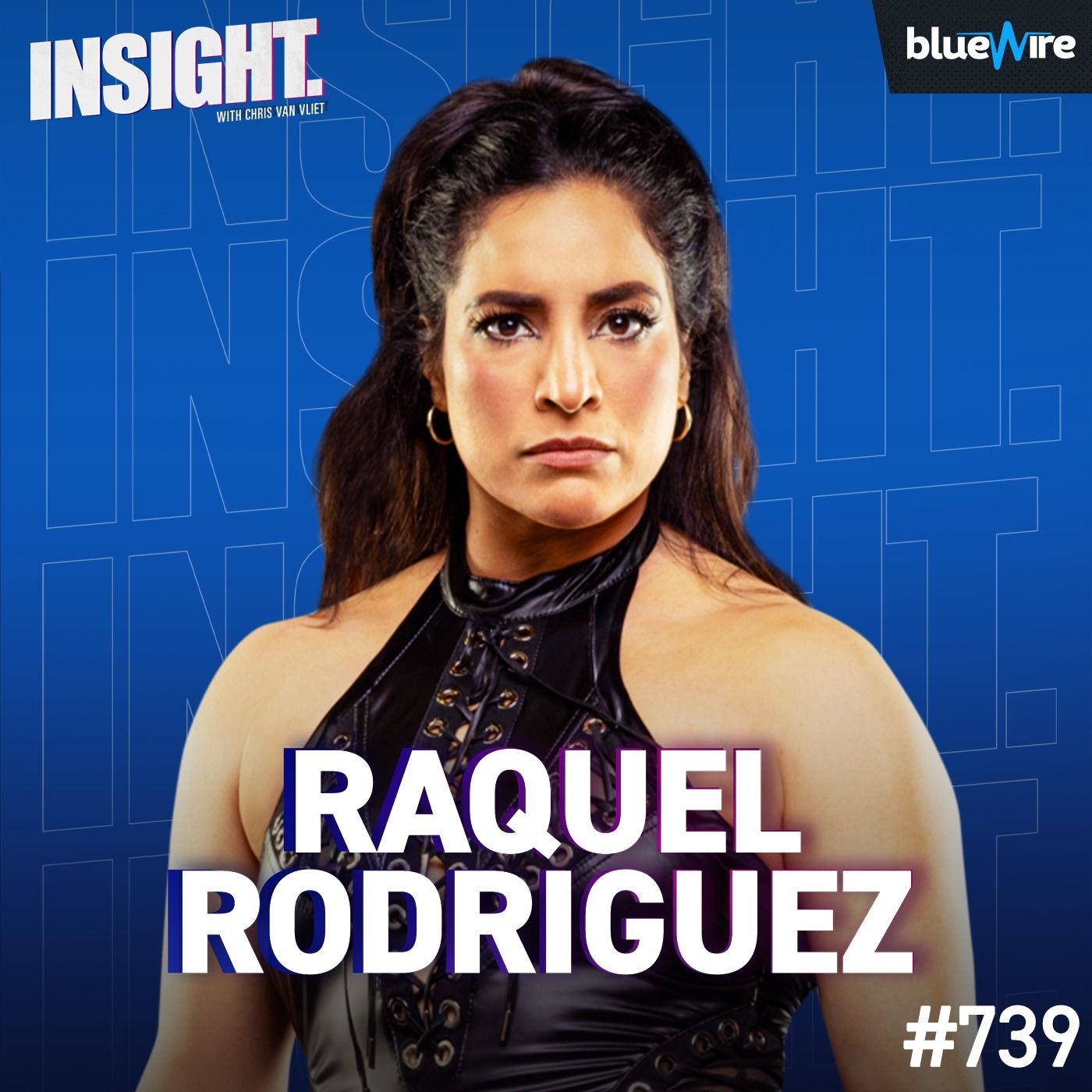 Insight with Chris Van Vliet