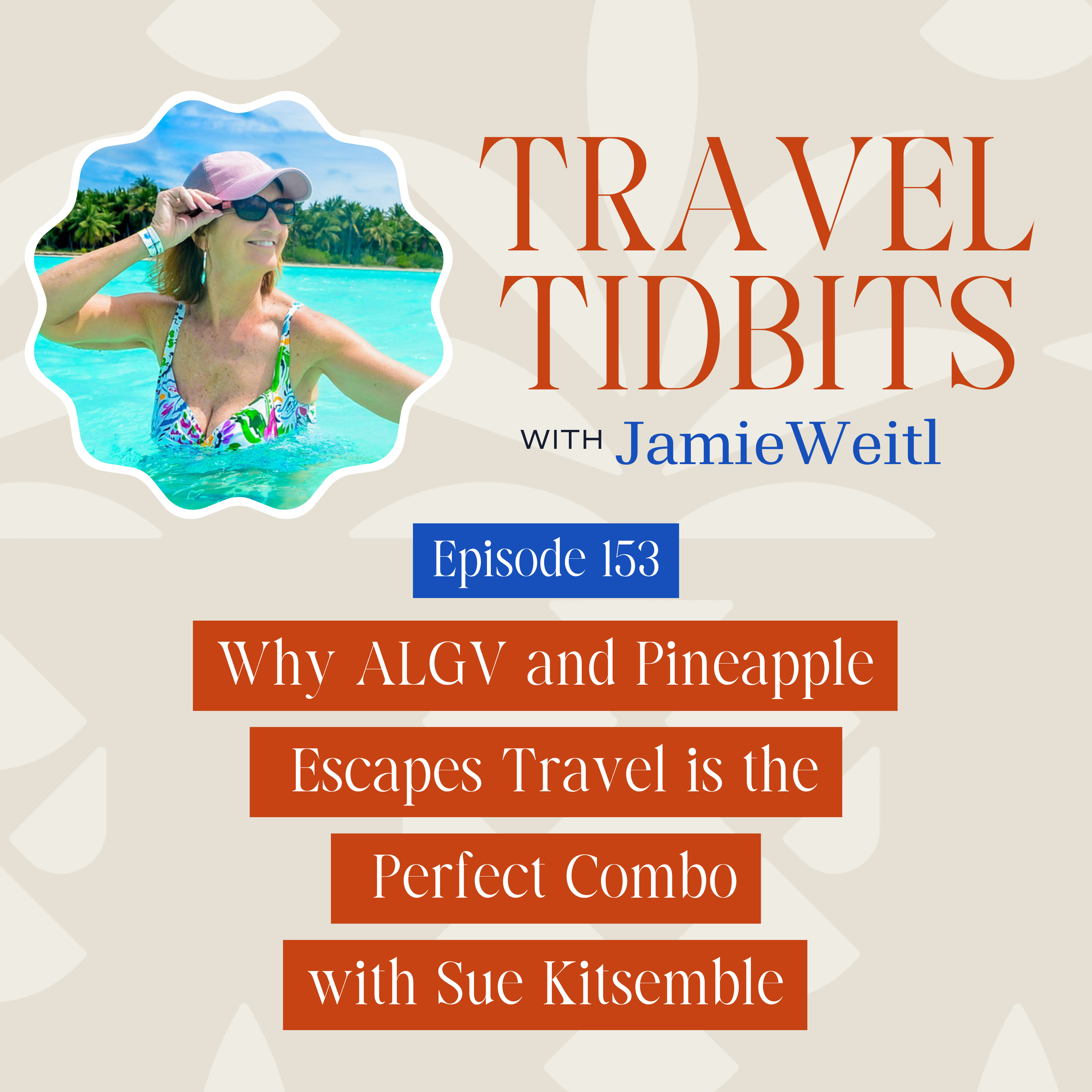 The Travel Tidbits Podcast