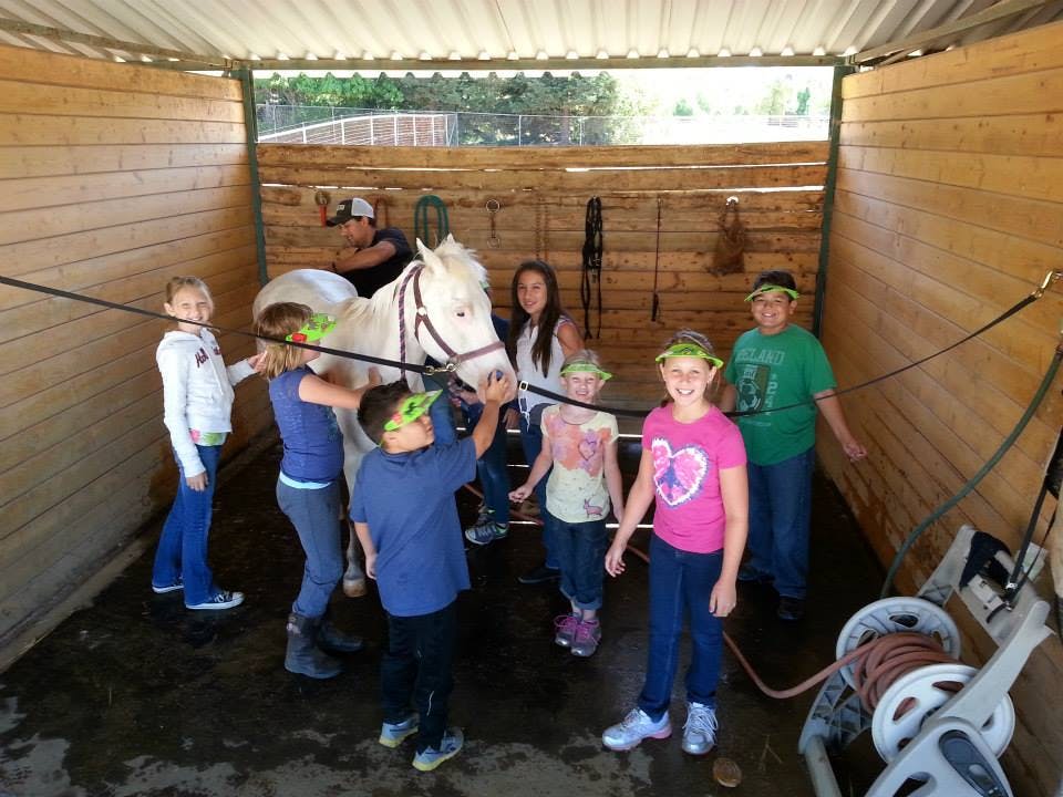 A True Story of How Patriots Saved Sugar Ditch Stables! Must-Hear A True Story of How Patriots Saved Sugar Ditch Stables! Must-Hear