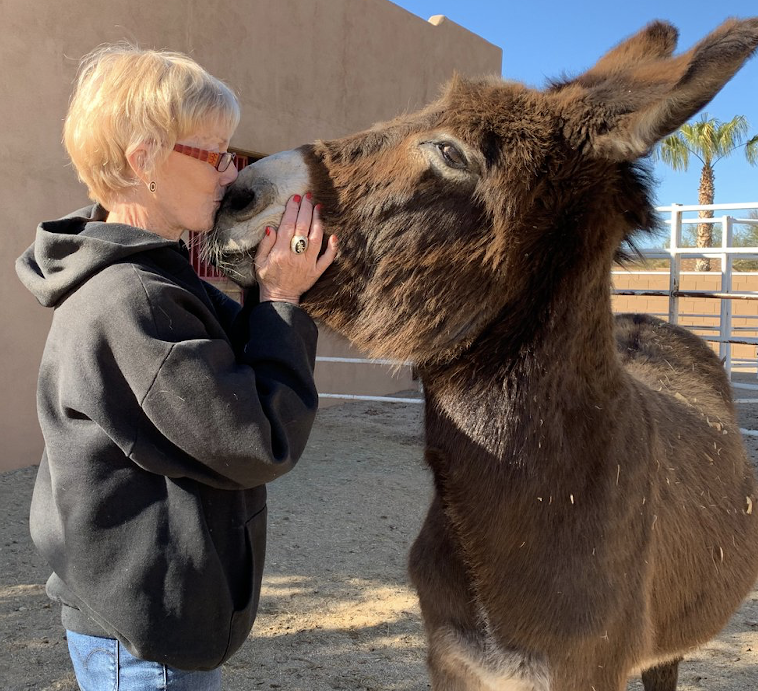 Baseball and Organ Music: How’d That Happen?
