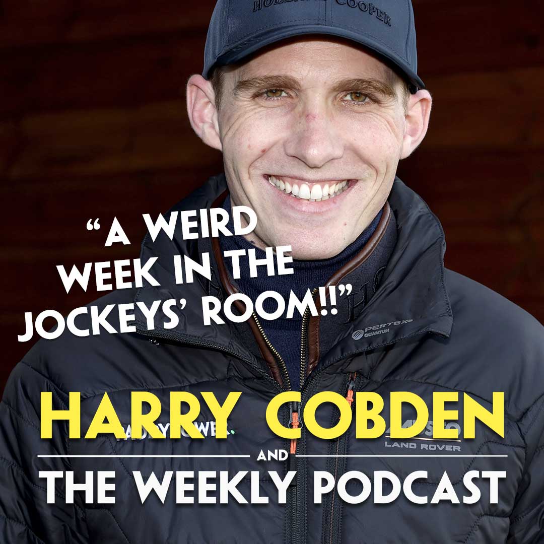 HARRY COBDEN CHELTENHAM REVIEW | Horses to Watch | David Power Jockeys' Cup | Caldwell Potter episode artwork